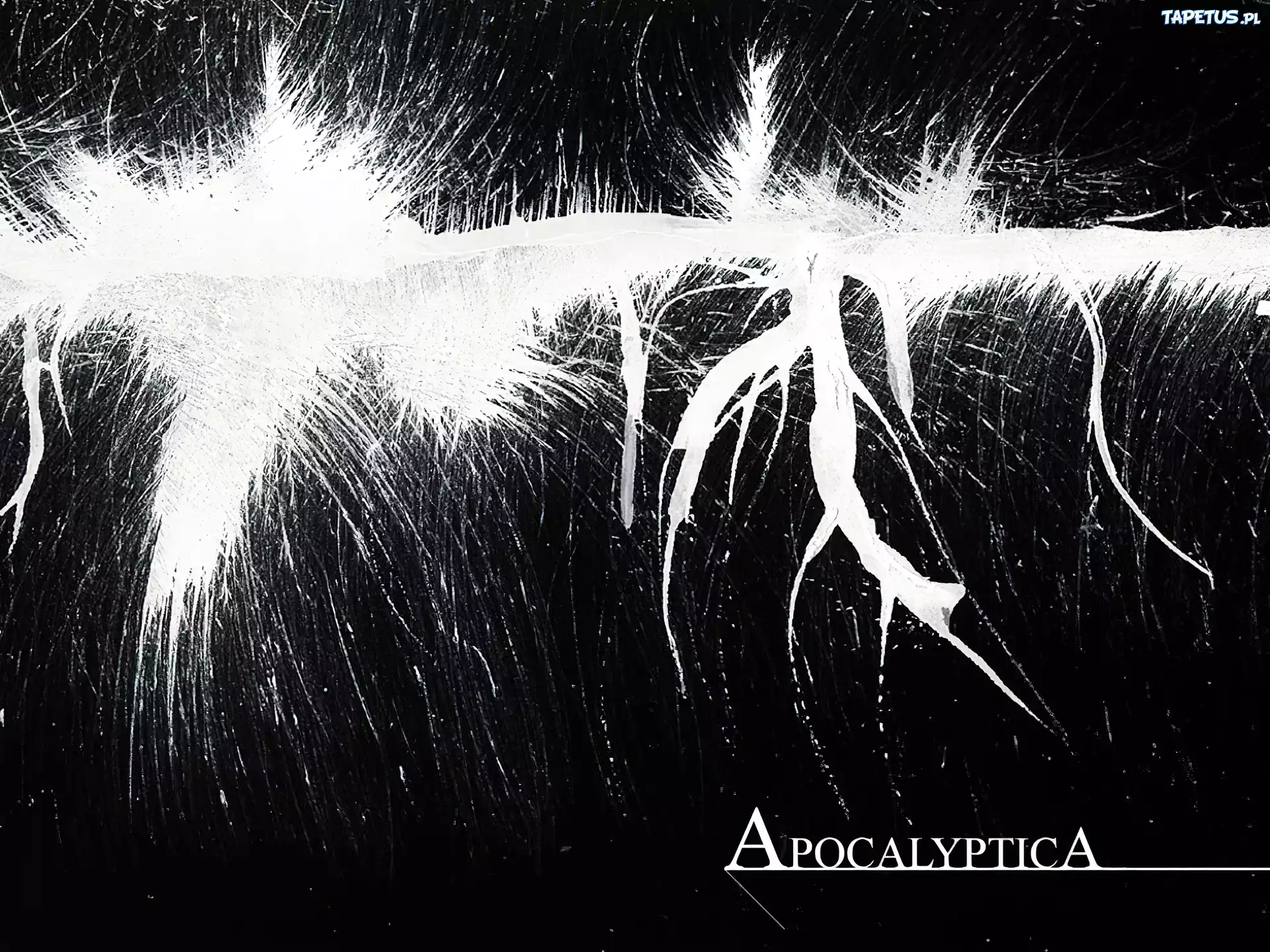Apocalyptica,nazwa zespołu