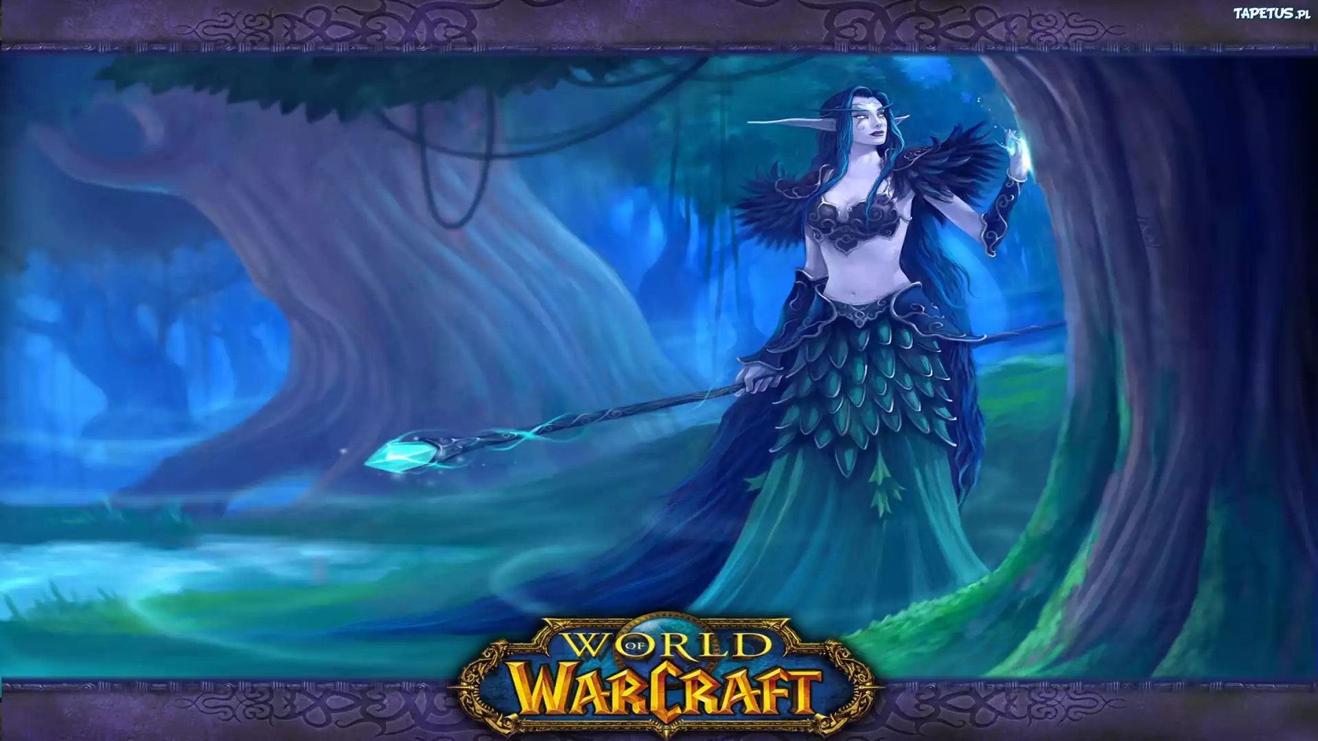 World Of Warcraft, kobieta, elf, fantasy