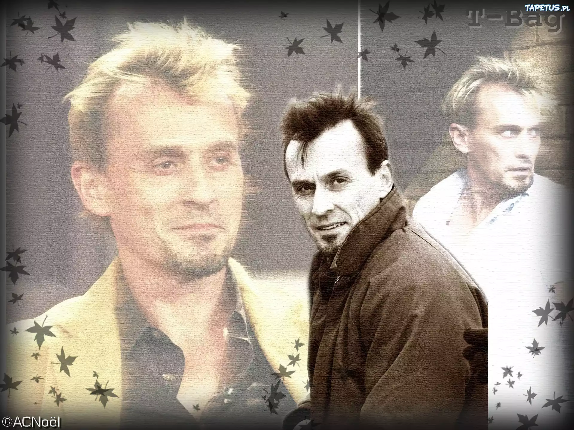 liście, Prison Break, Robert Knepper, kurtka