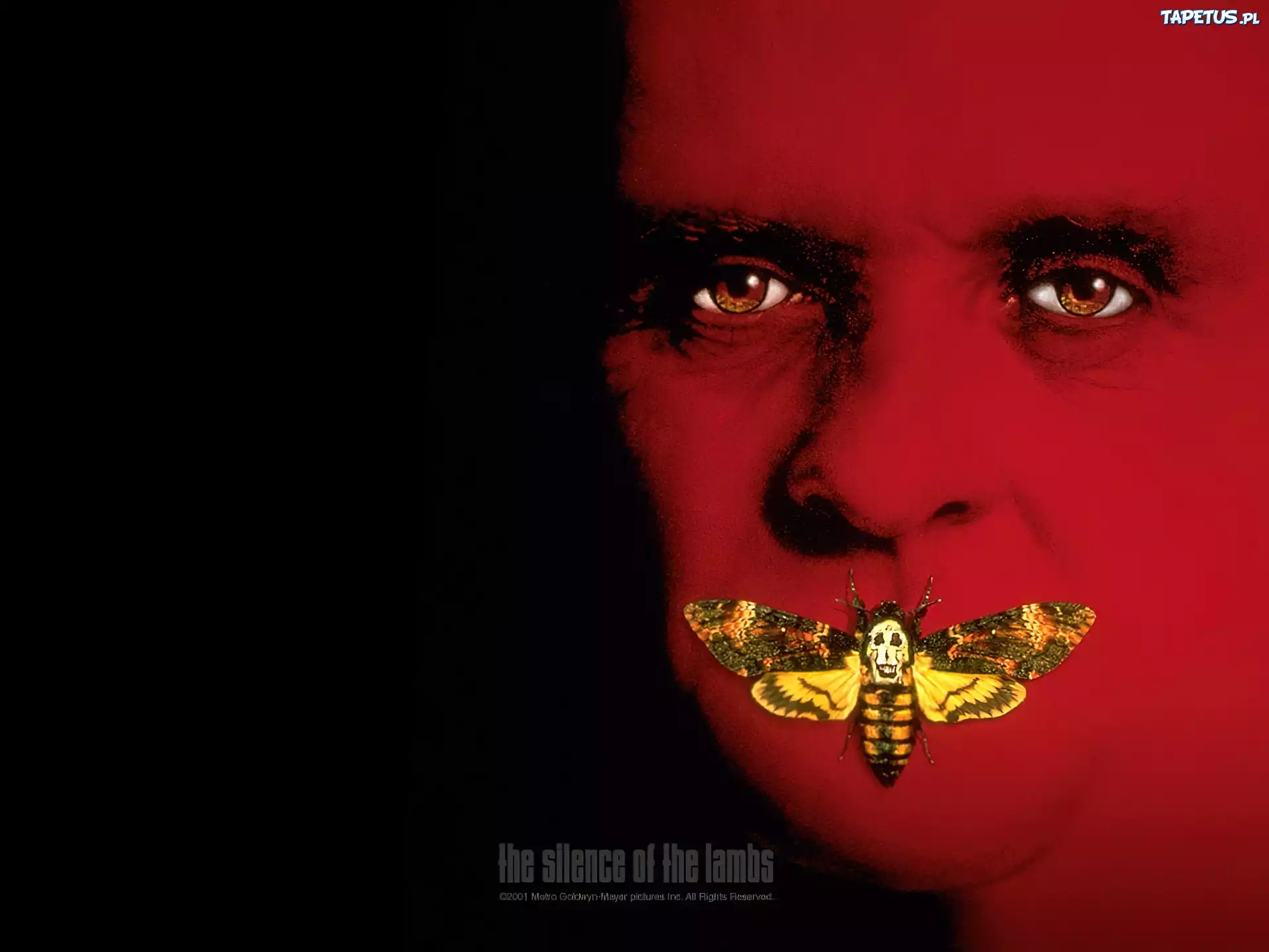 The Silence Of The Lumbs, twarz, zmarszczki, motyl, owad