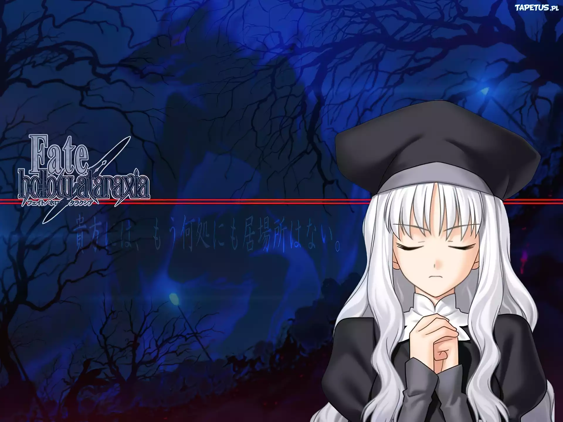 Fate Stay Night, drzewa, noc, kobieta, czapka