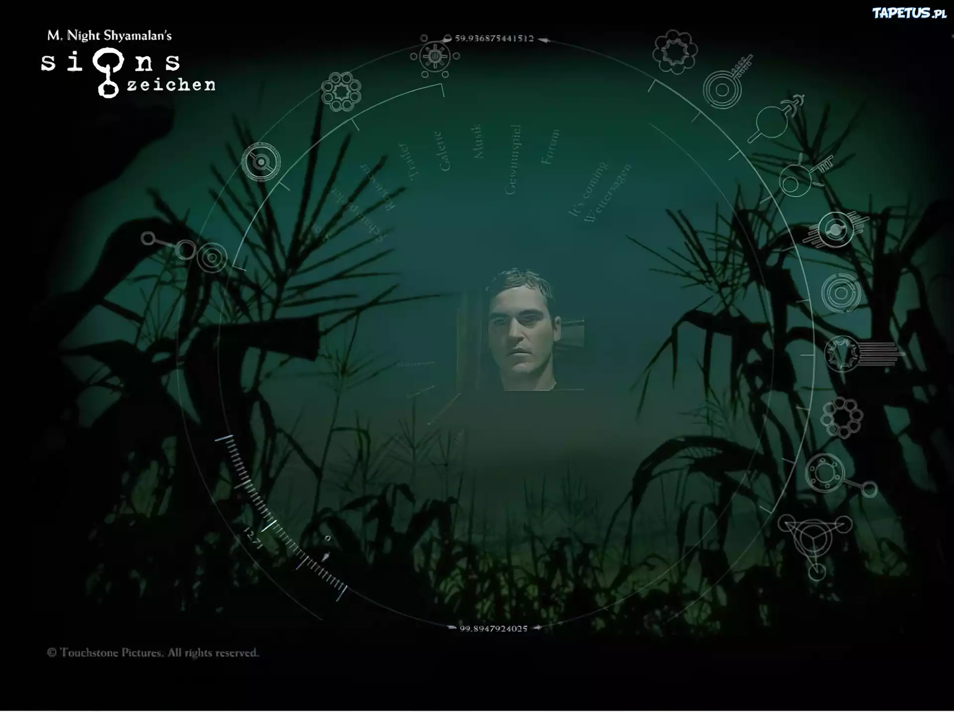Joaquin Phoenix,twarz