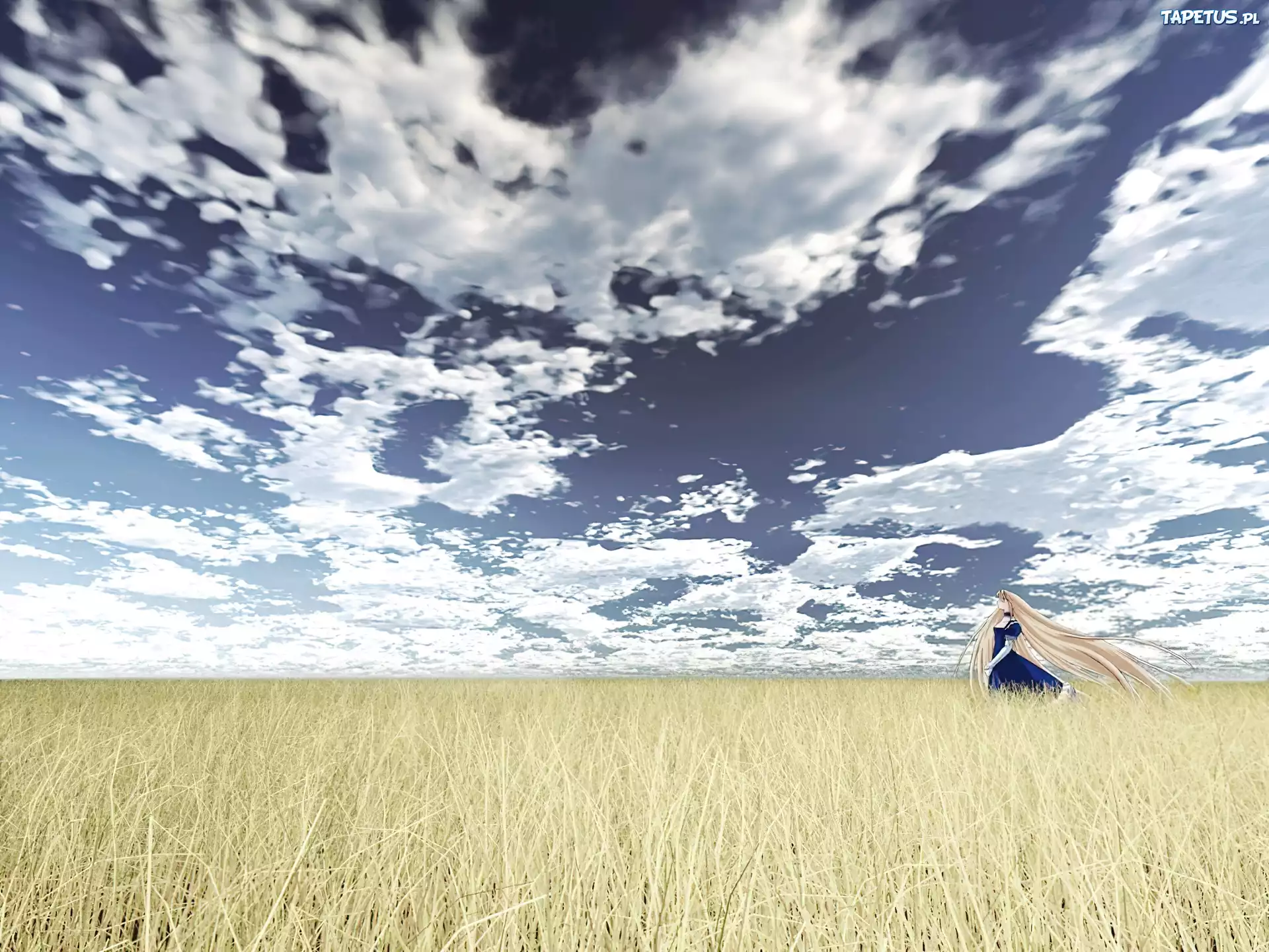 Shingetsutan Tsukihime, pole, niebo