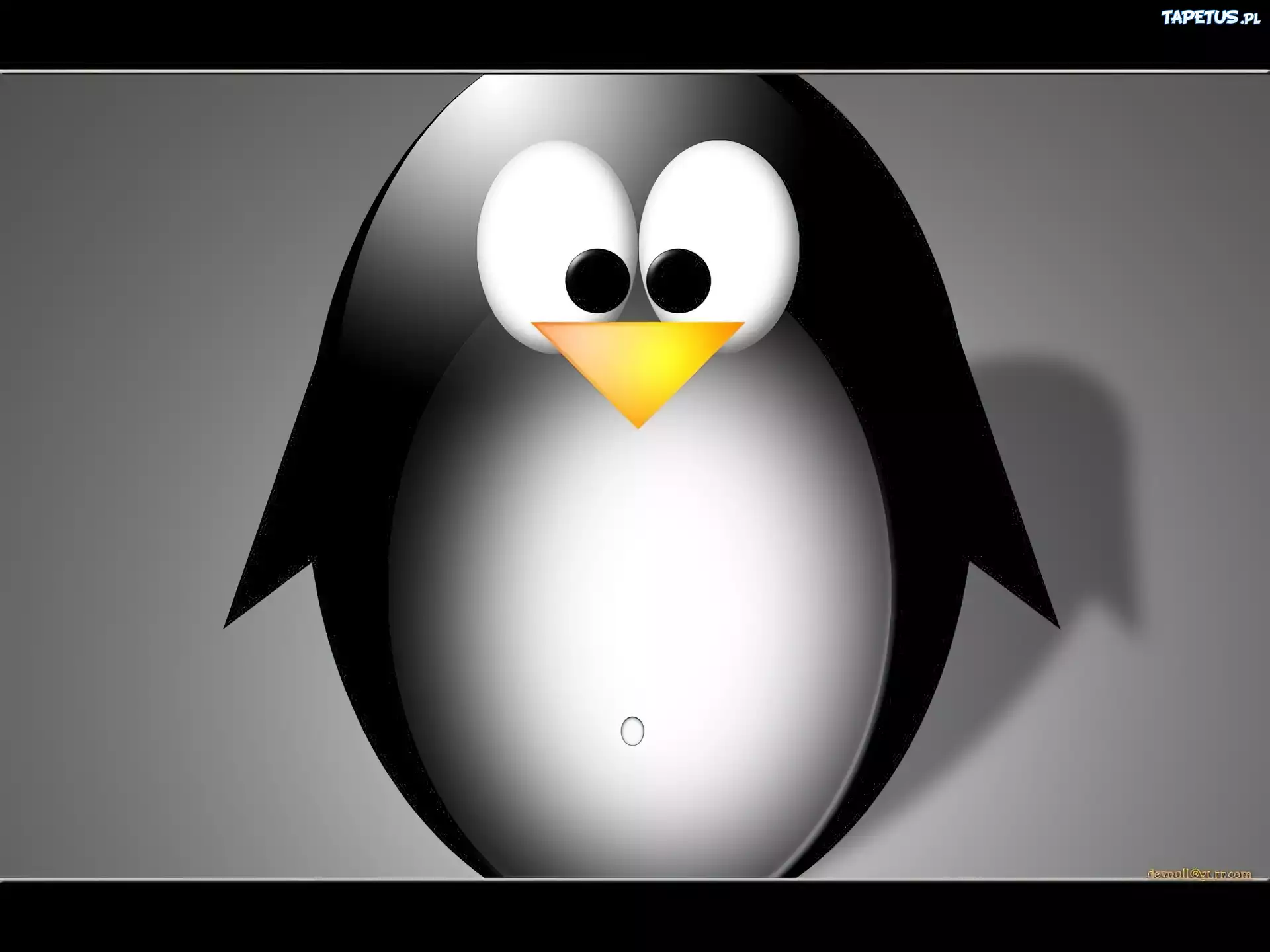 Linux, pingwin, grafika