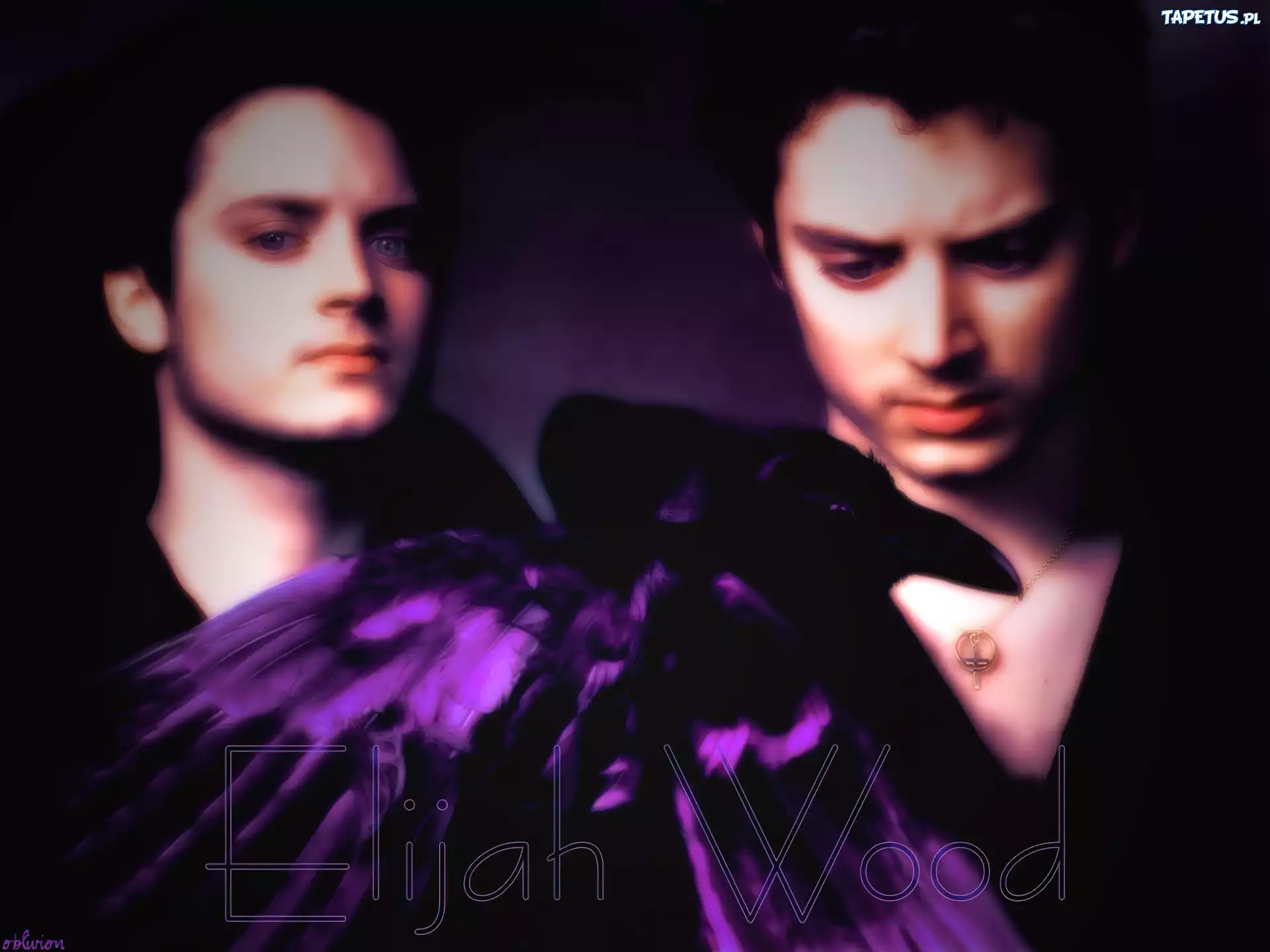 Elijah Wood,niebieskie oczy, ptak