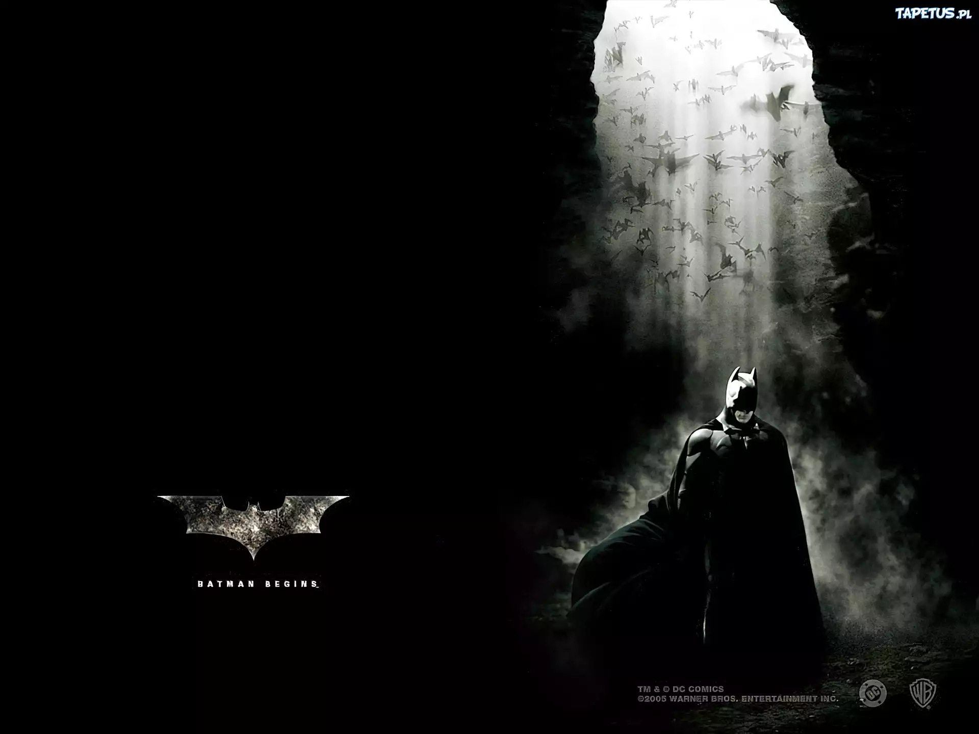 nietoperze, batman, Batman Dark Knight