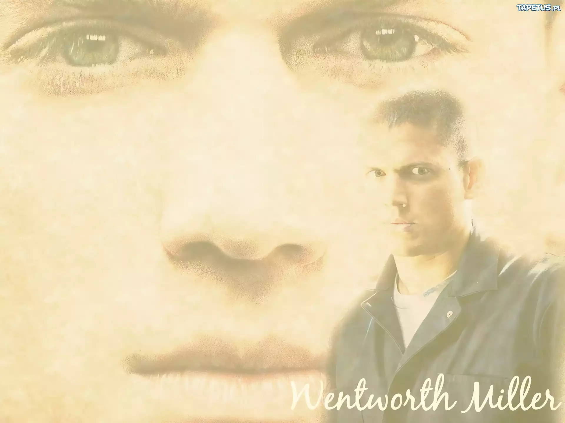 Prison Break, Wentworth Miller, twarz, oczy