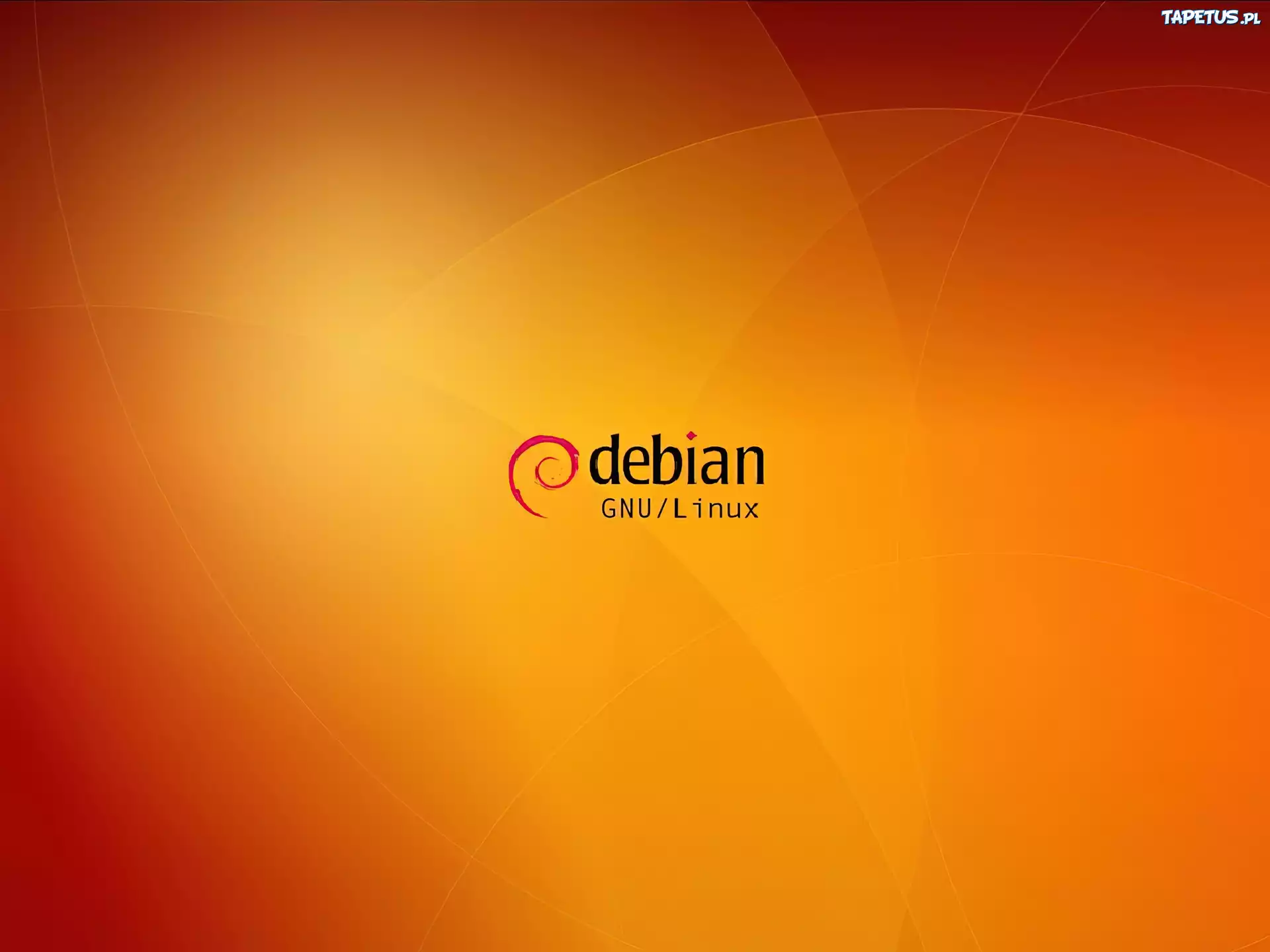 grafika, muszla, ślimak, zawijas, Linux Debian