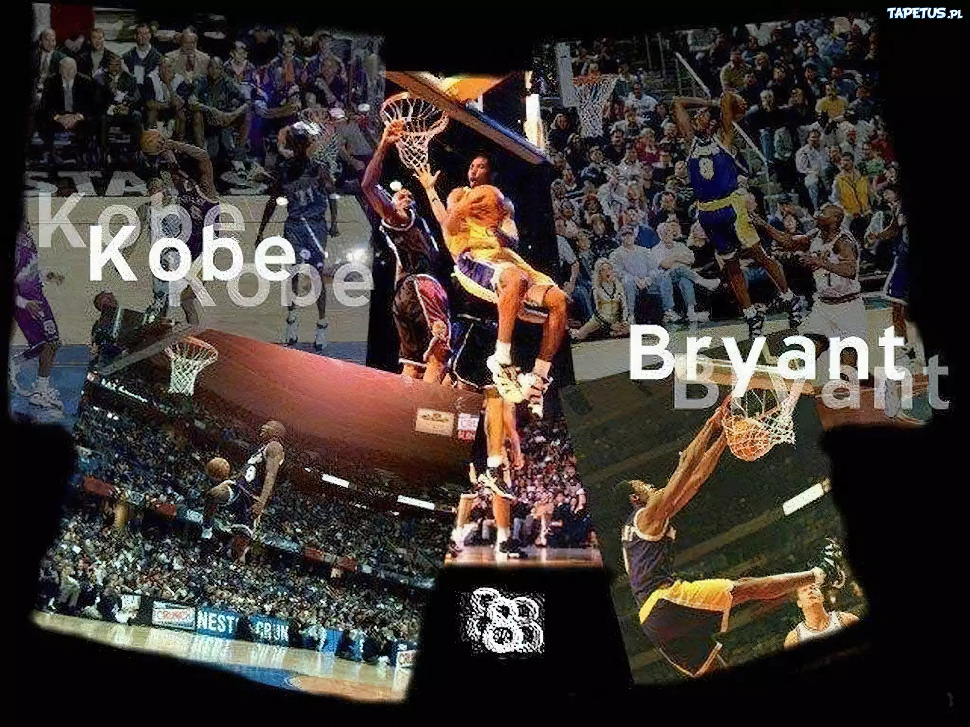 Koszykówka,koszykarz ,Koby Bryant