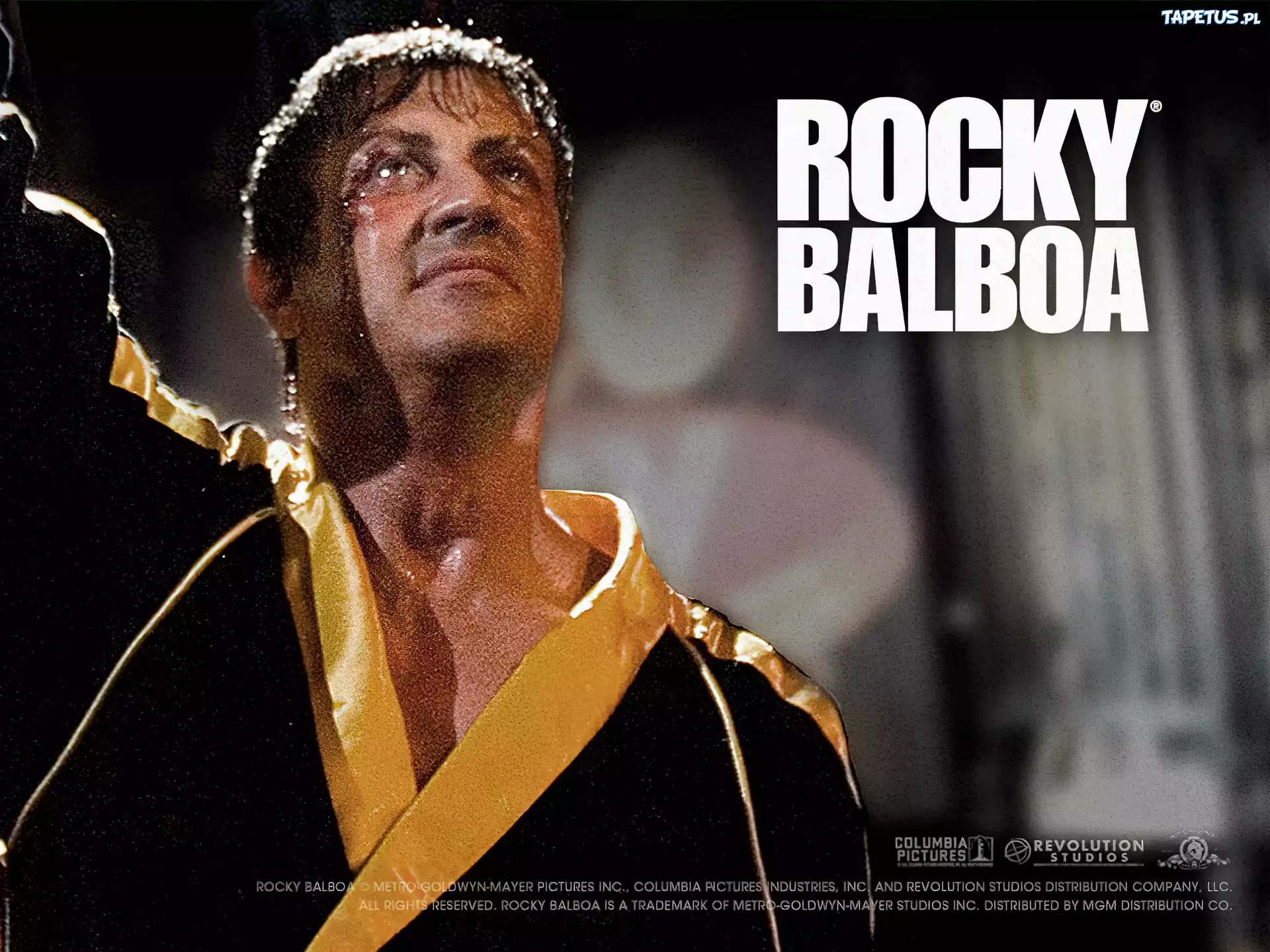 Rocky Balboa, Sylvester Stallone, szlafrok