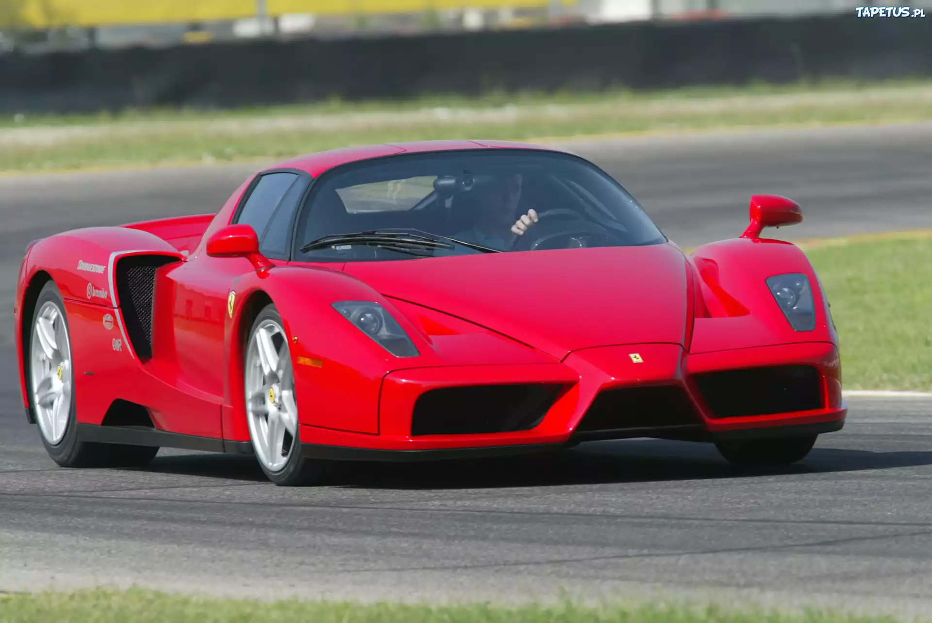 Ferrari Enzo F60