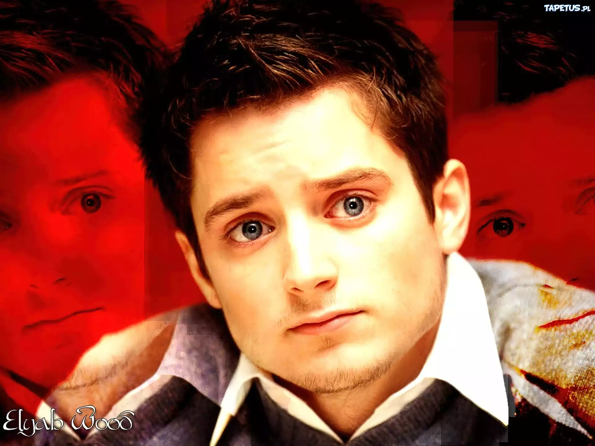 Elijah Wood, Twarz