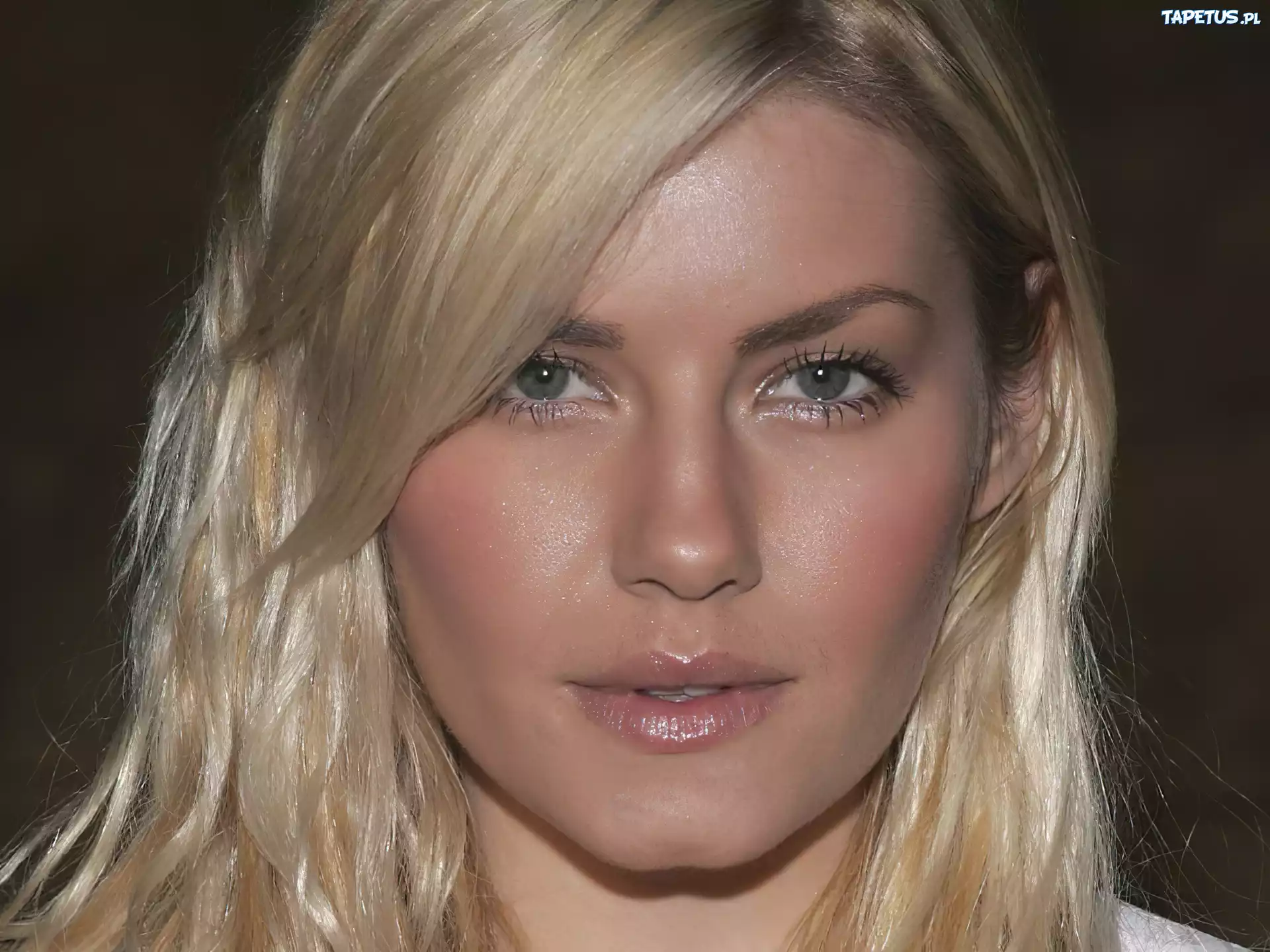 Elisha Cuthbert