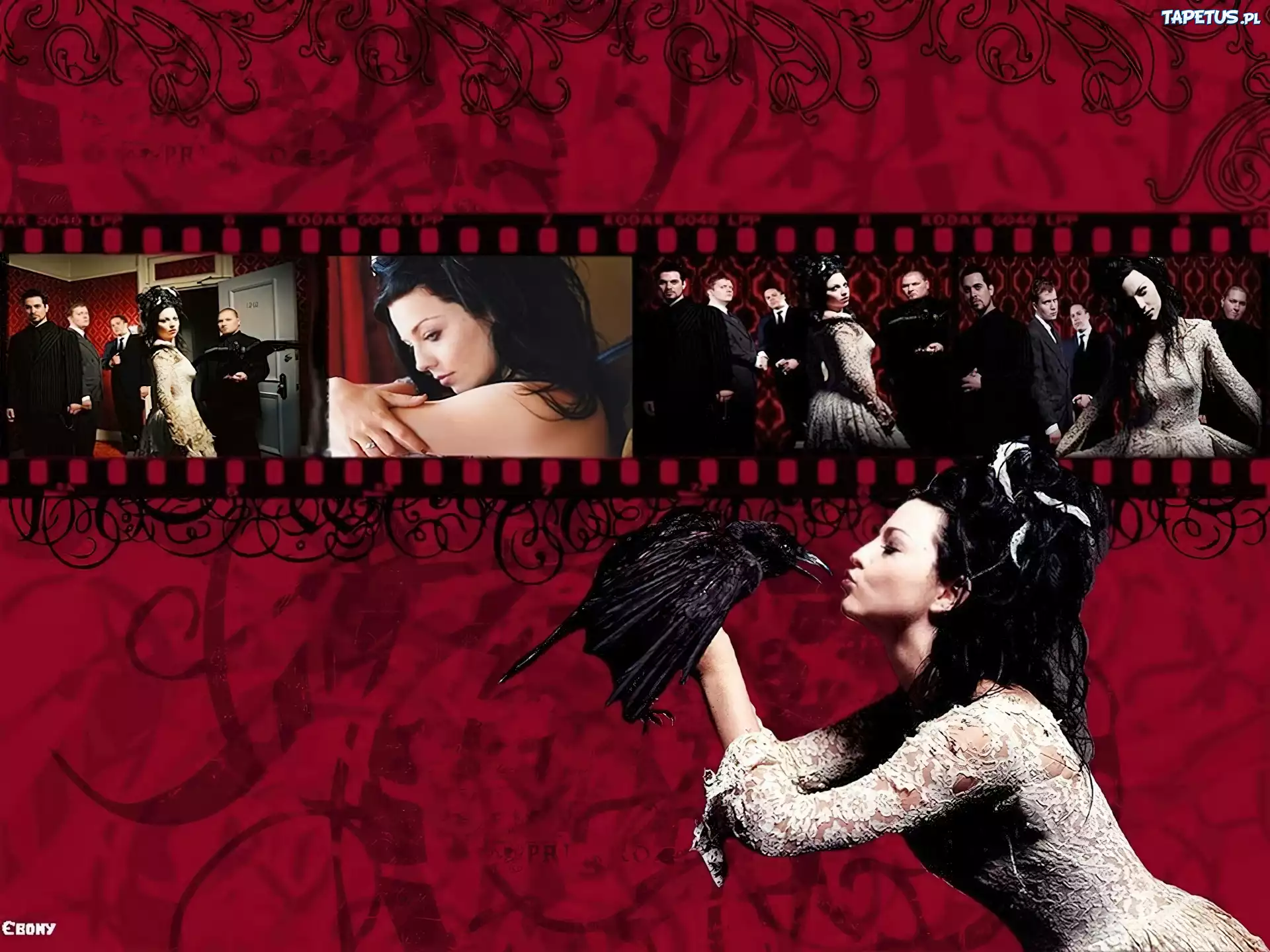 Evanescence,szpak, kobieta ,ludzie