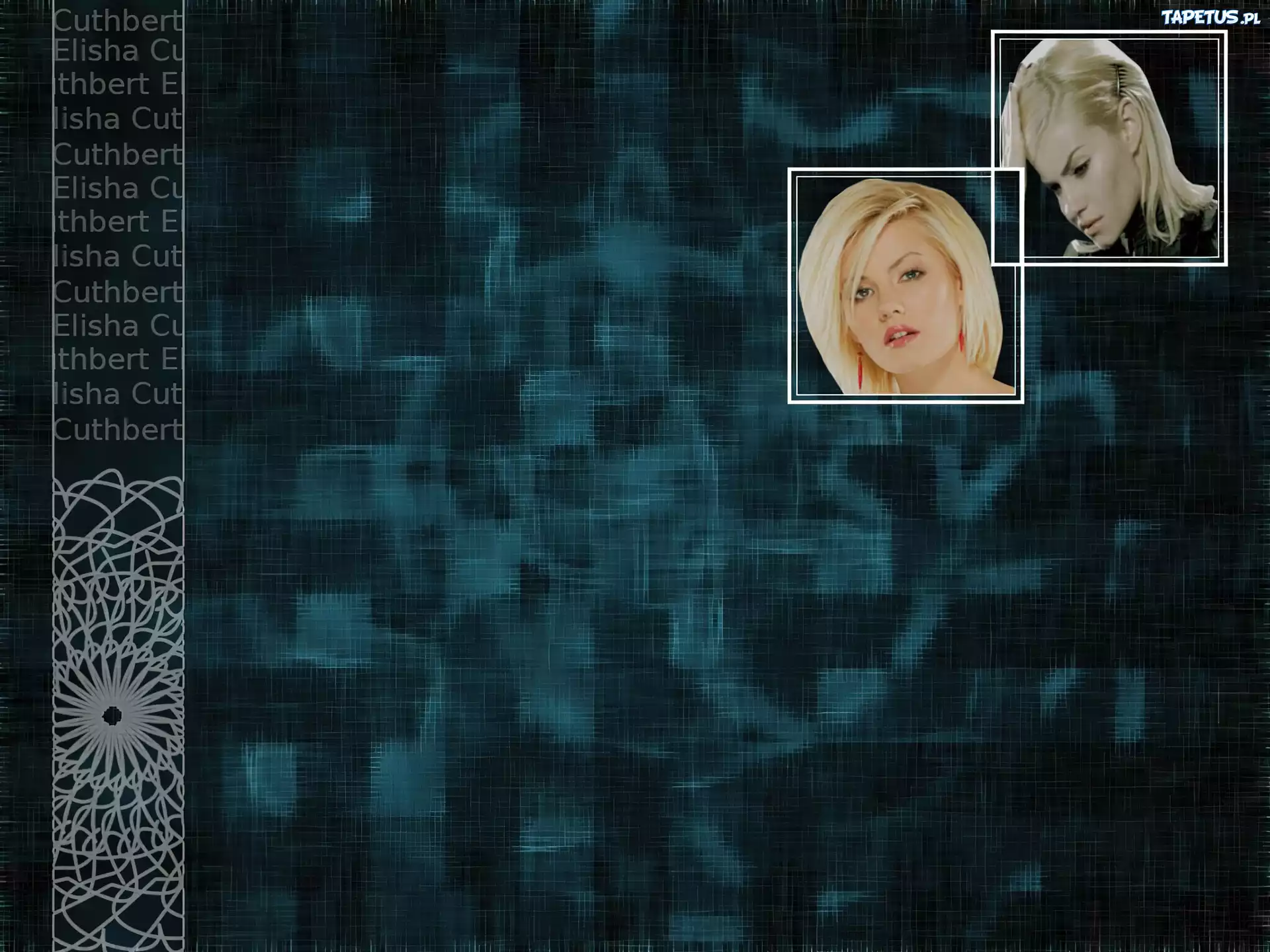 Elisha Cuthbert