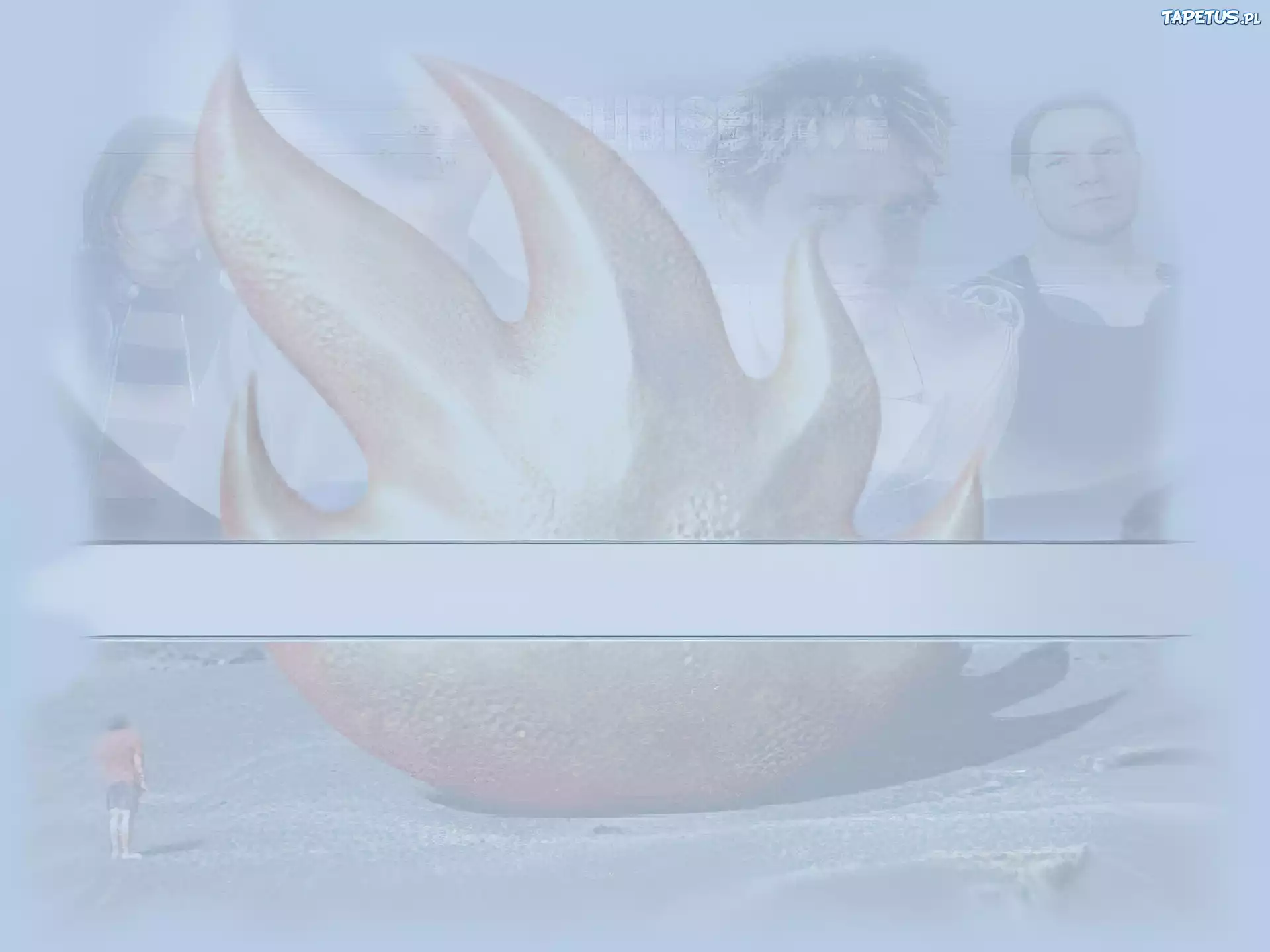 Audioslave,twarze zespołu