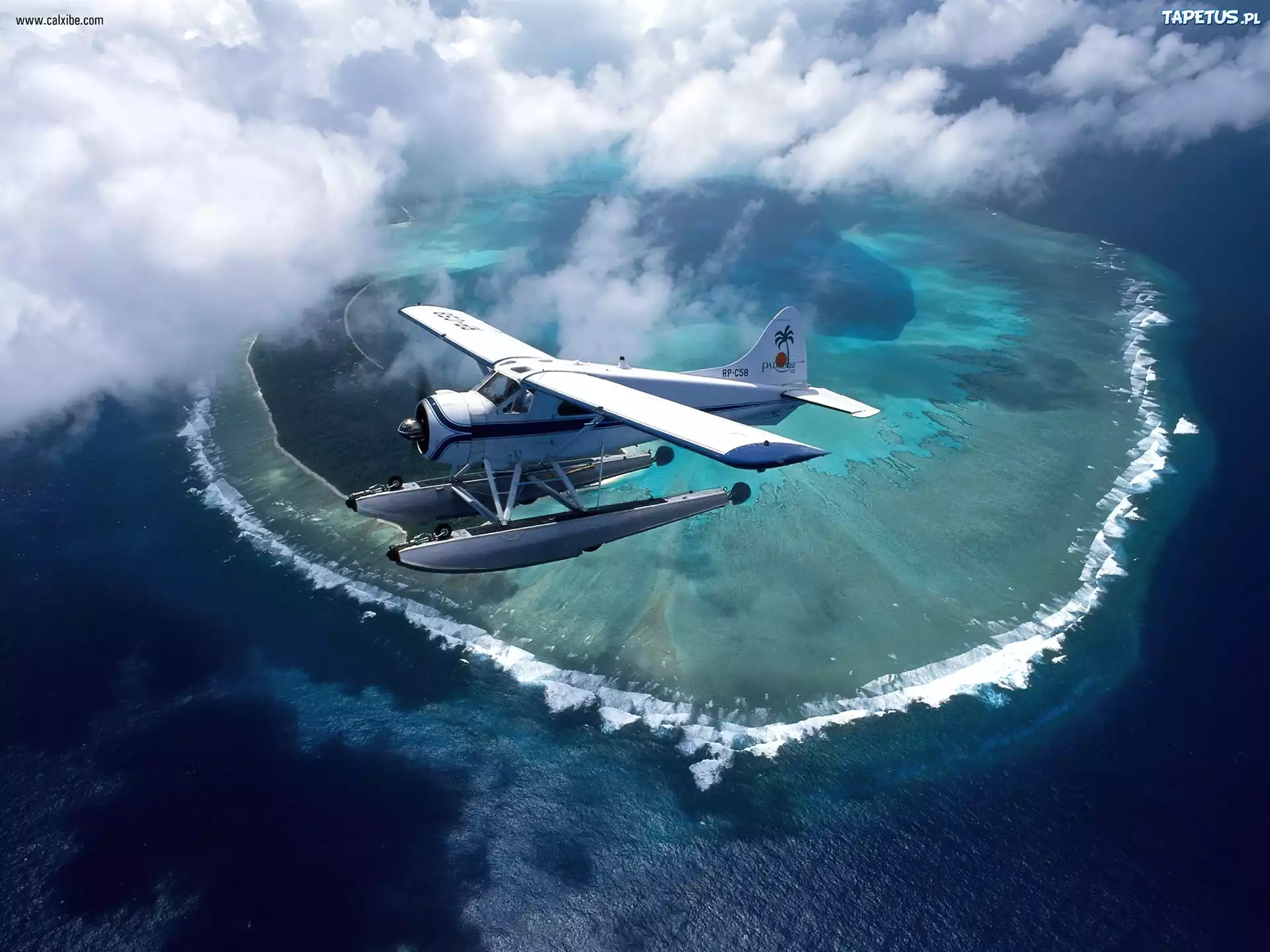 De Havilland DHC-2, Wyspa