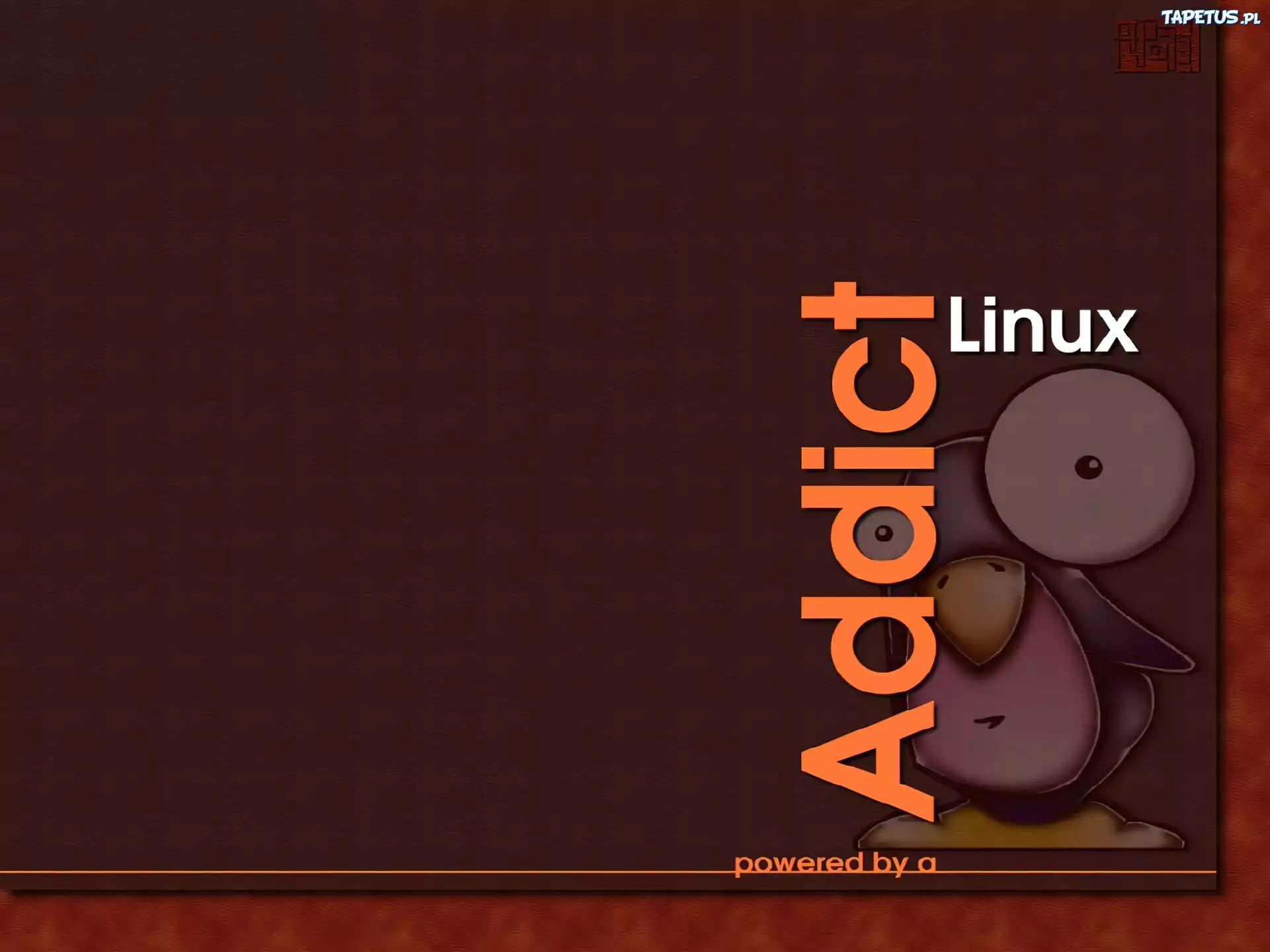 Linux, oko, grafika, pingwin