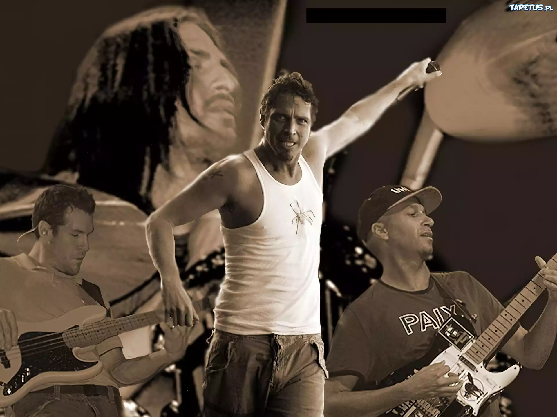Audioslave,zespół ,gitara