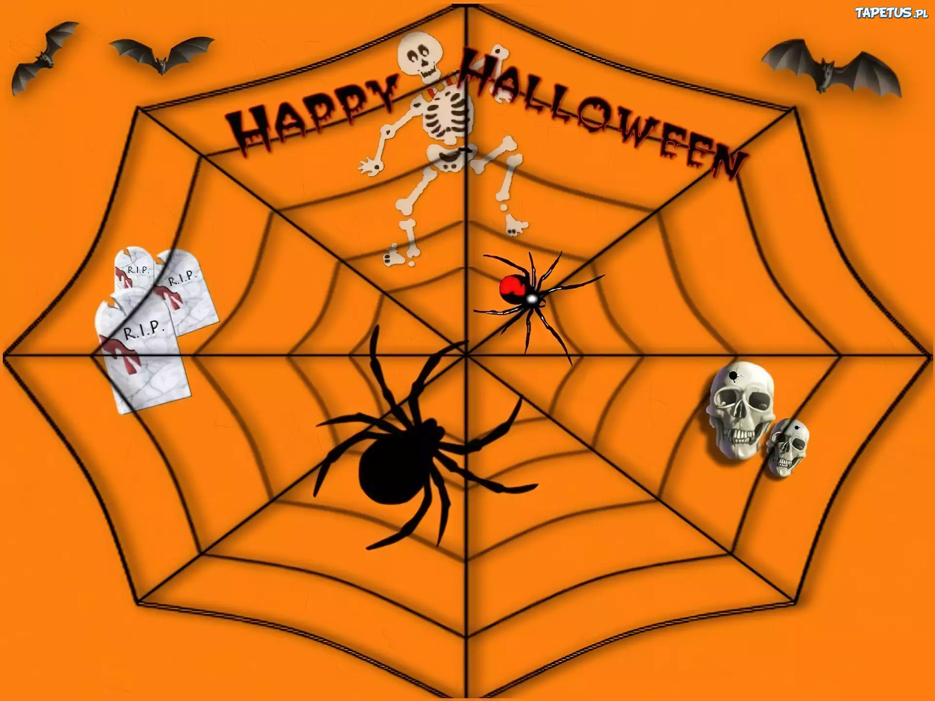Halloween,pająki, pajęczyna