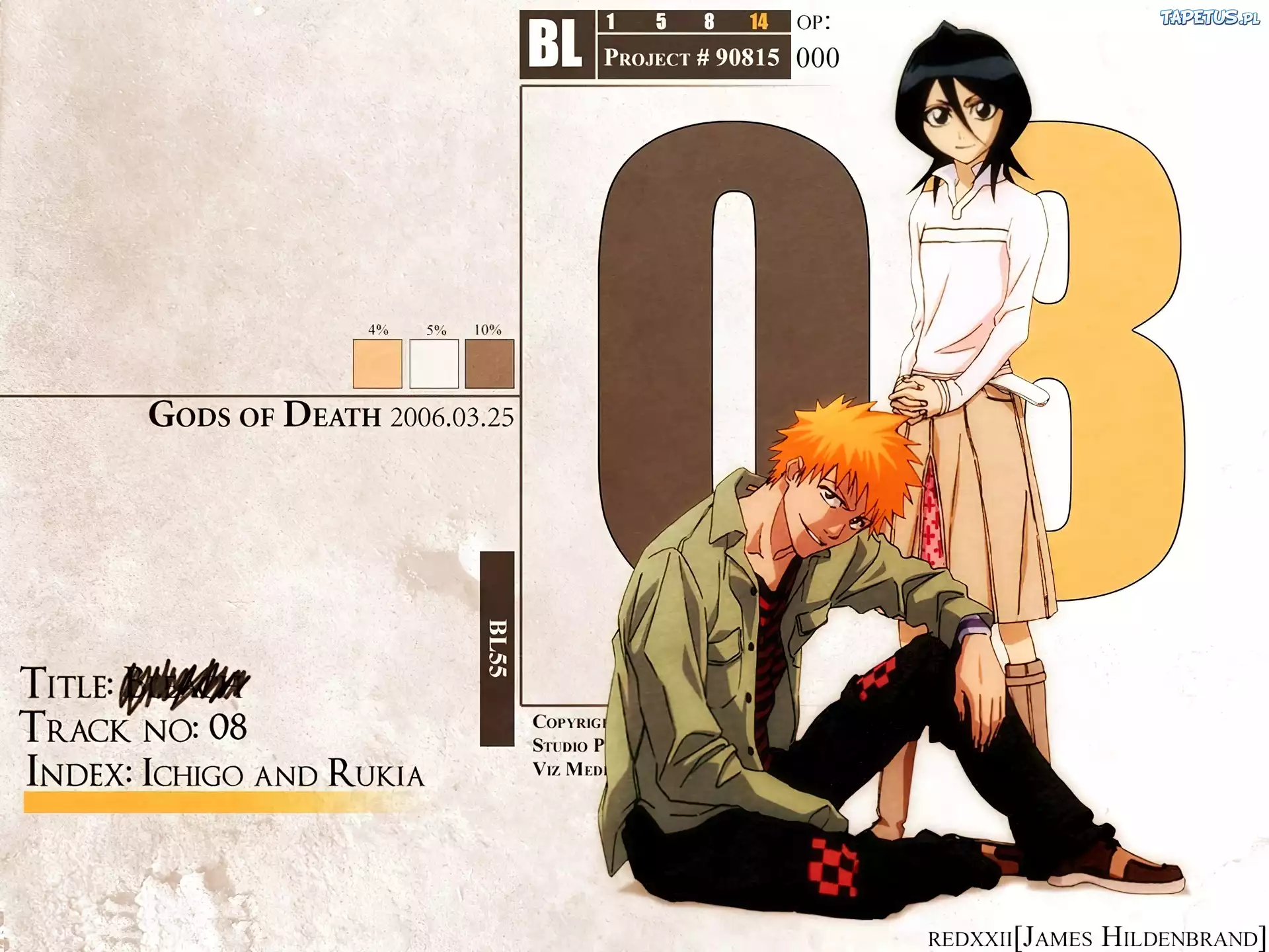 Bleach, Ichigo, Rukia