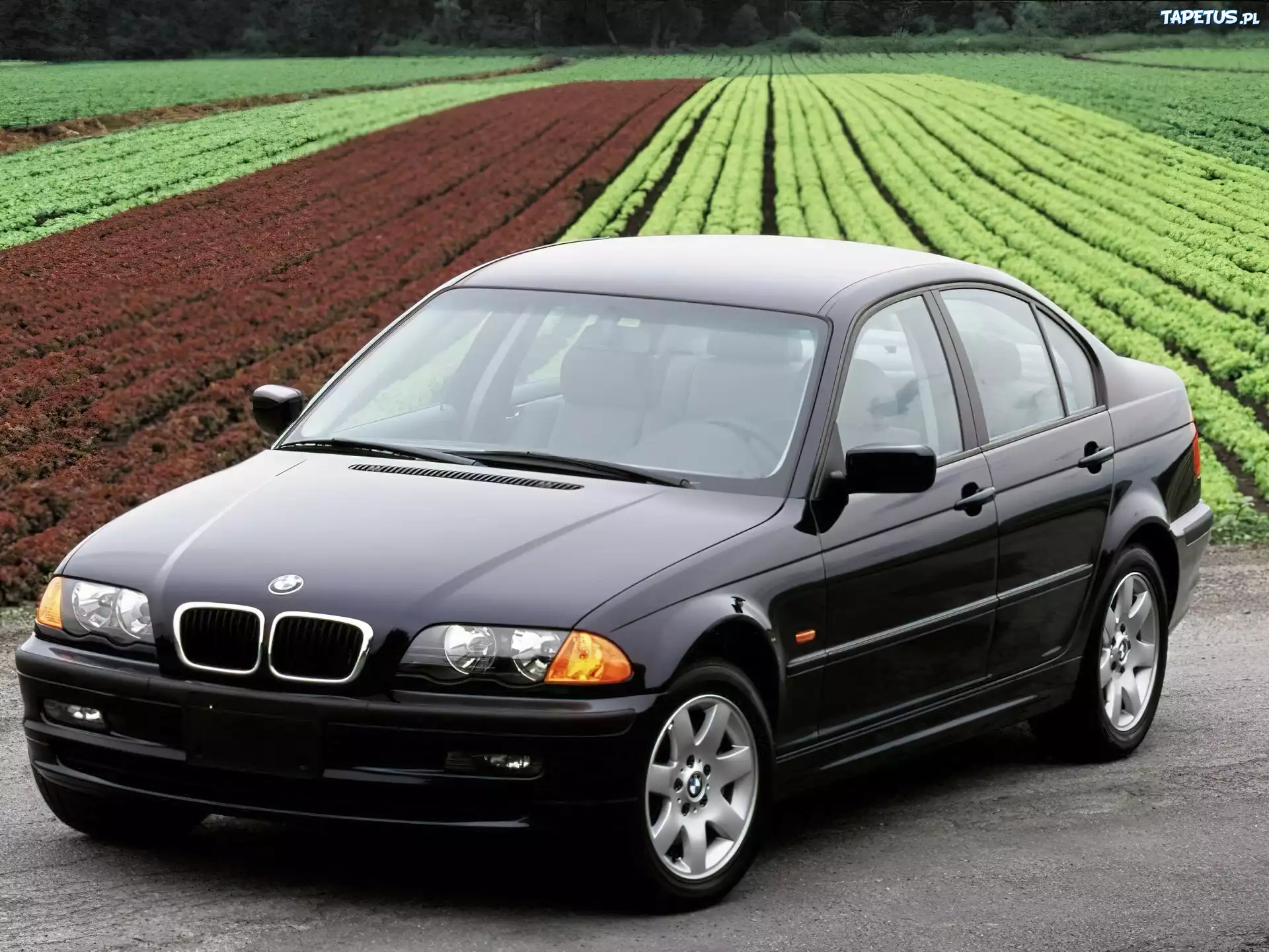 Czarne, BMW, Sedan, Pole