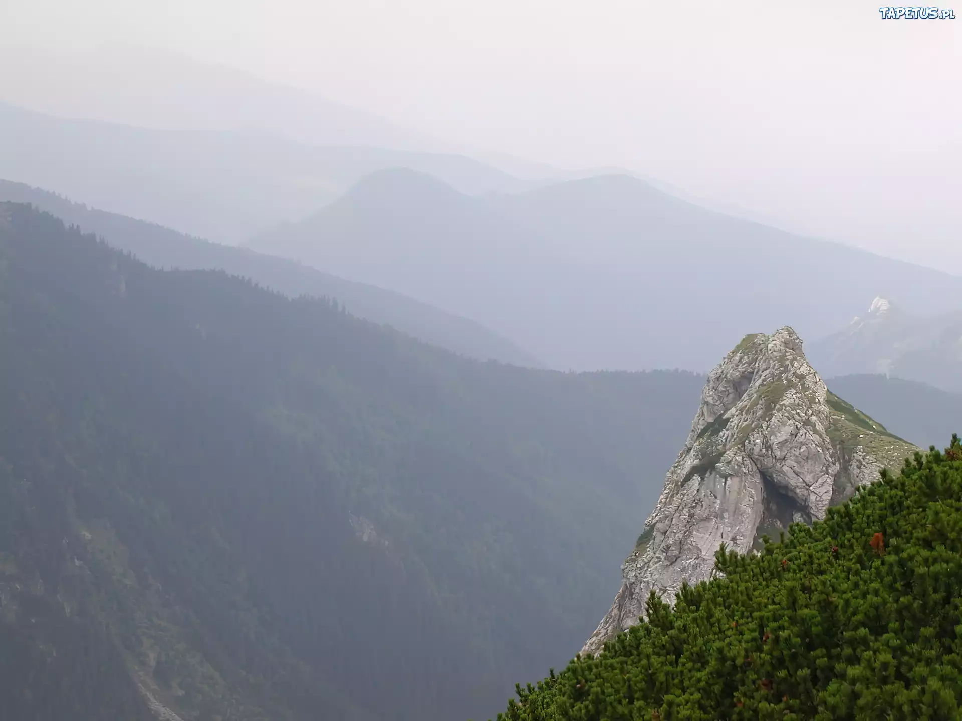 Góry,mgła