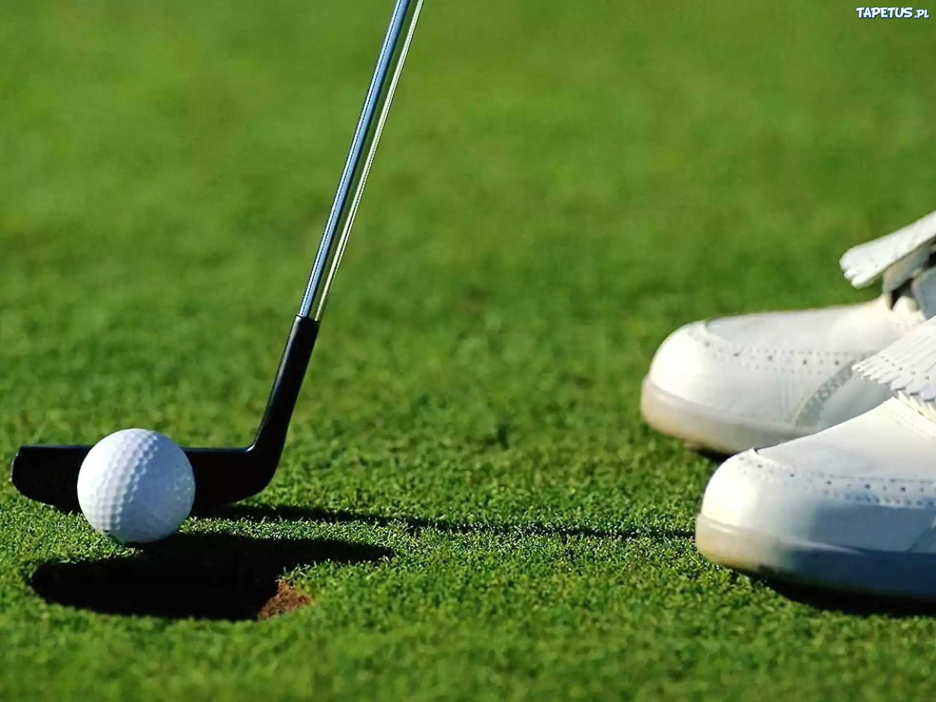 Sportowe Golf,piłka do golfa , kij golfowy