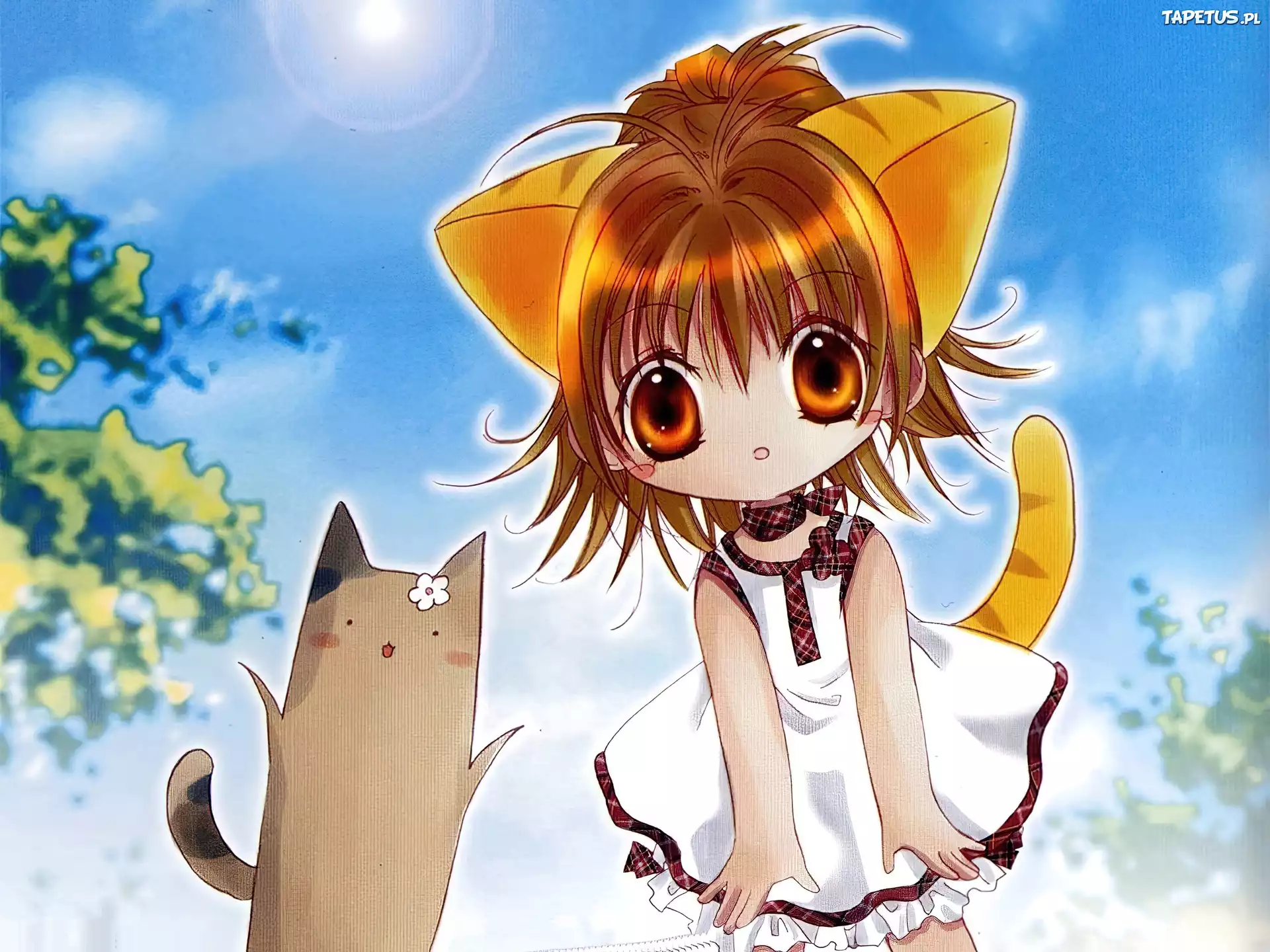 Digi Charat, dziewczyna, kotek, ogon, sukienka