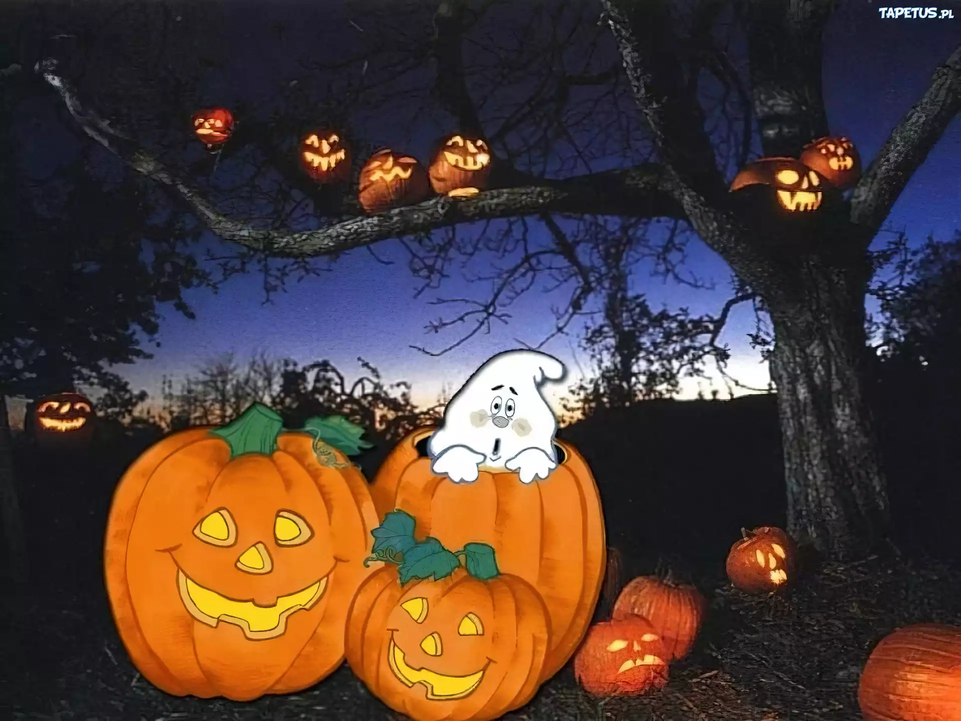 Halloween,duszek , dynie
