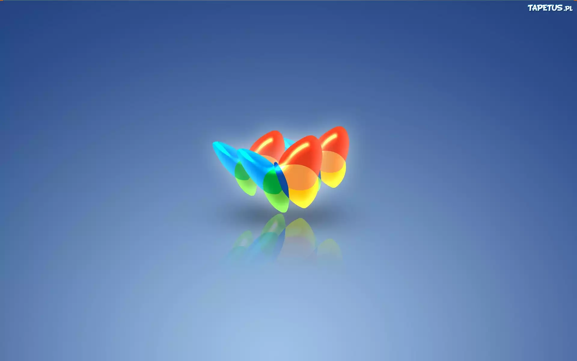 Programy MSN, motyle, grafika