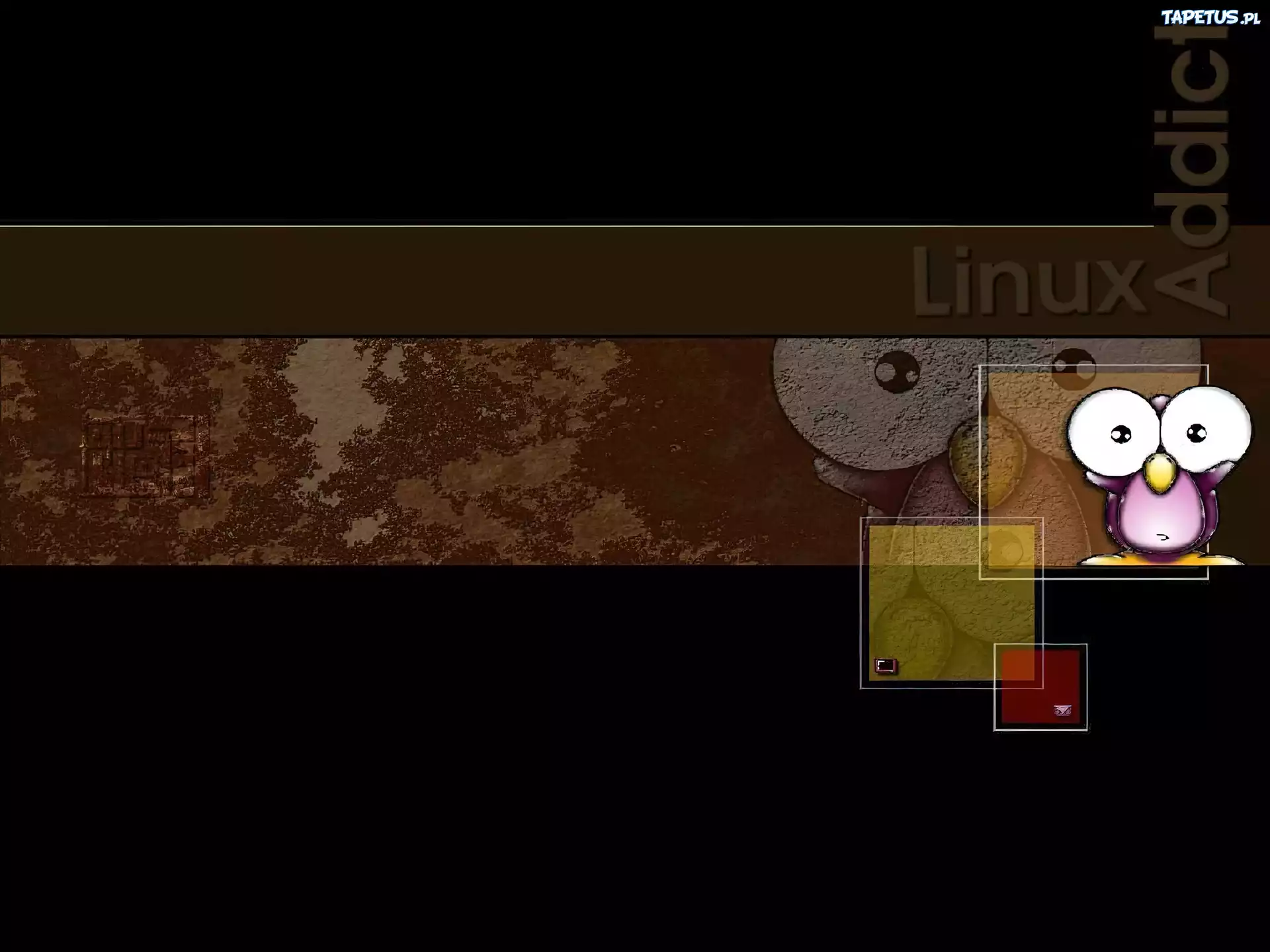 Linux, grafika, pingwin, oko