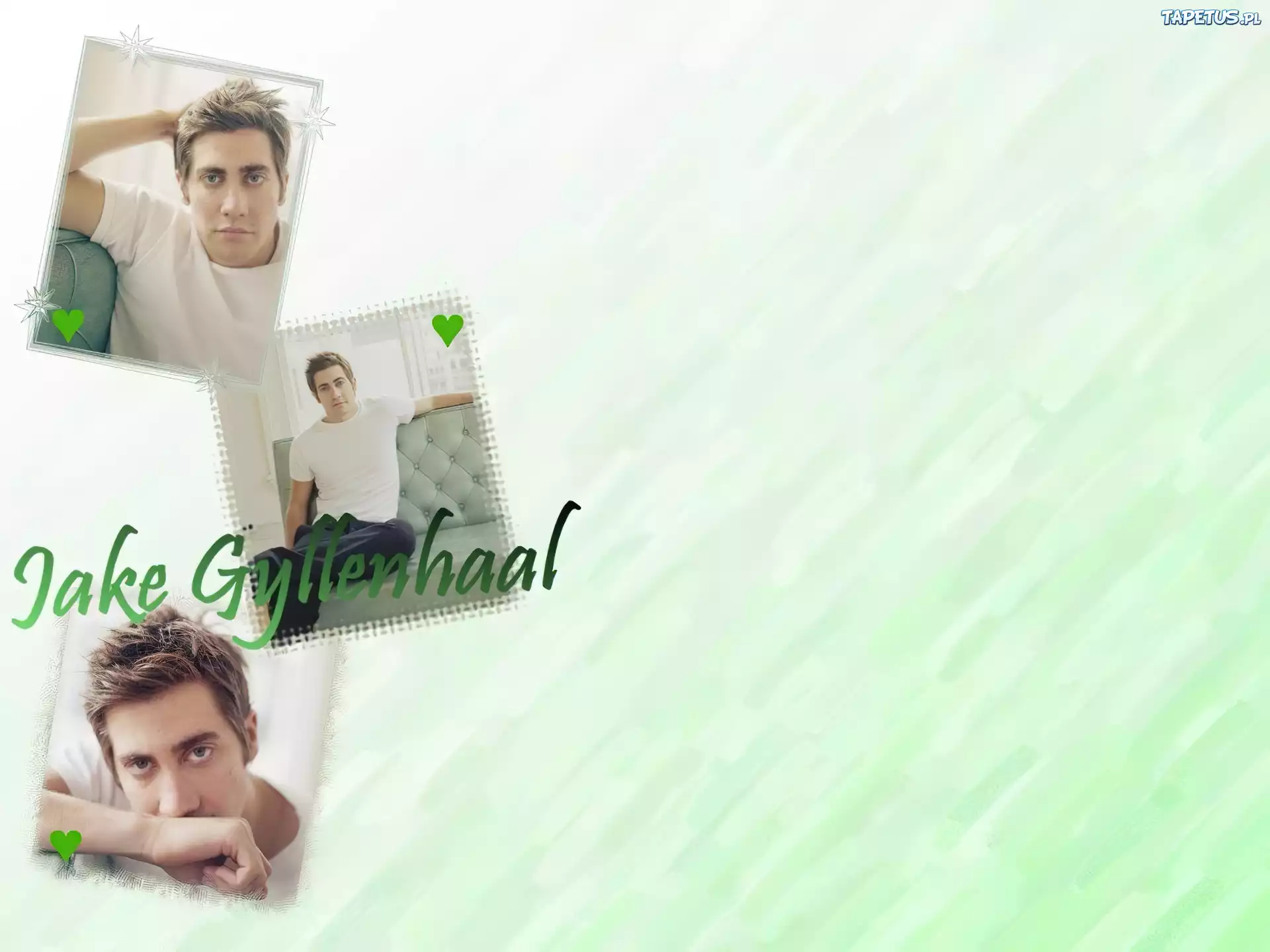 Jake Gyllenhaal,biała koszulka, serca