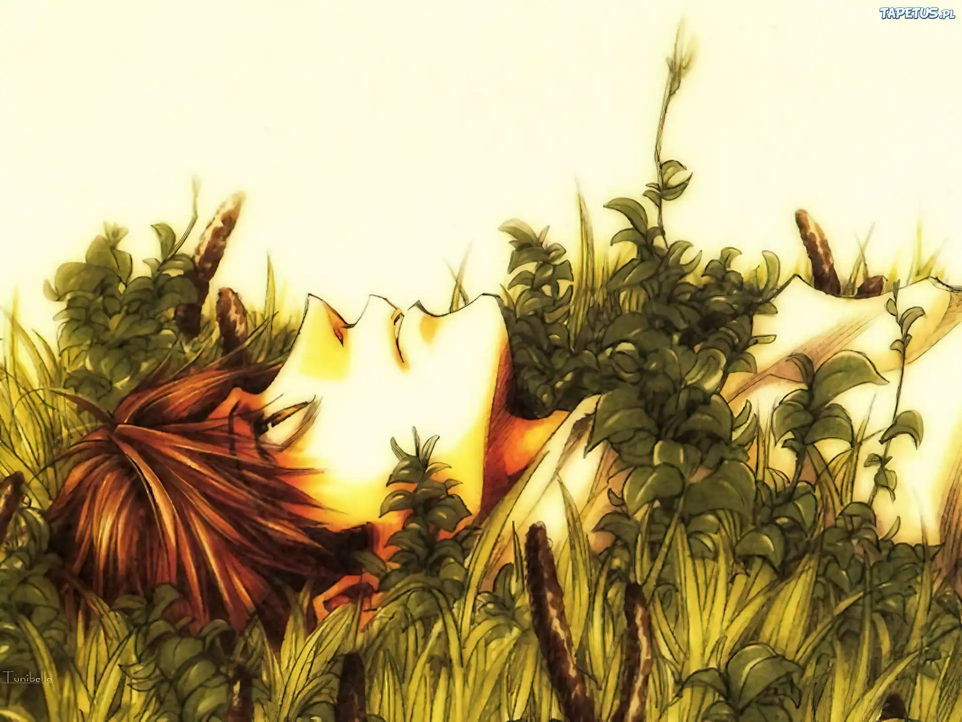 Saiyuki, twarz w kwiatach
