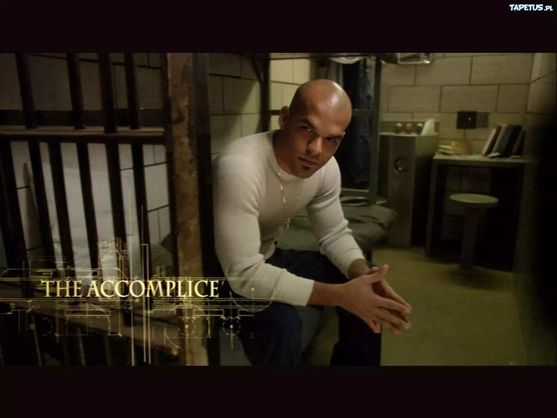Prison Break, Amaury Nolasco, cela