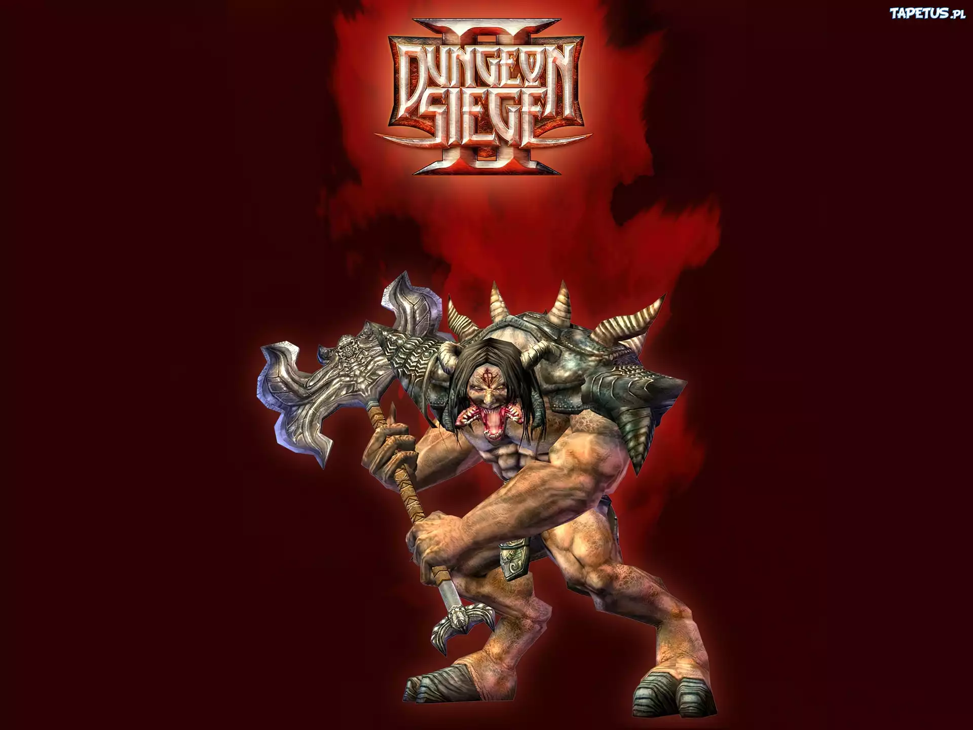 Dungeon Siege, potwór, topór