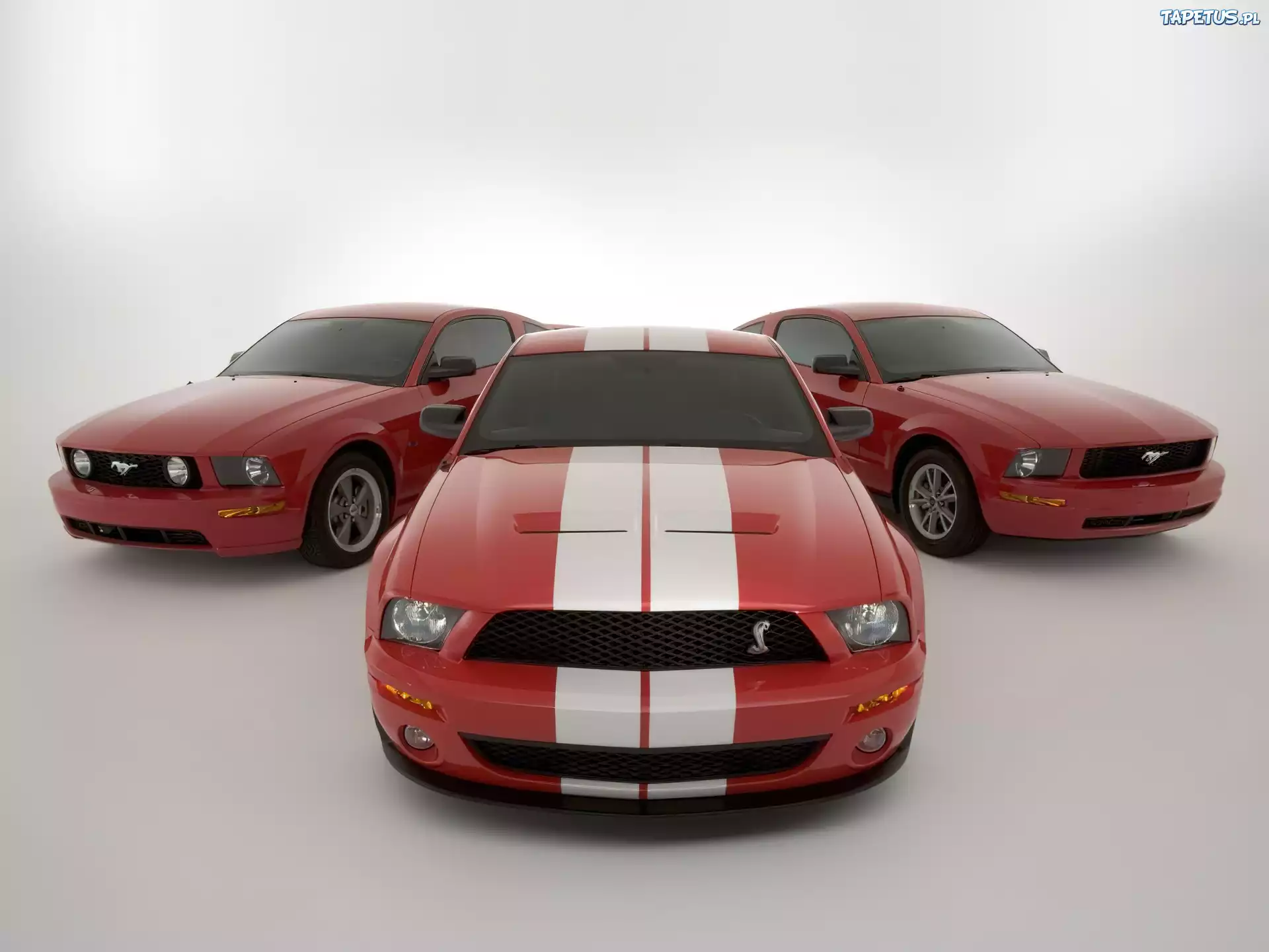 Shelby, Ford Mustang