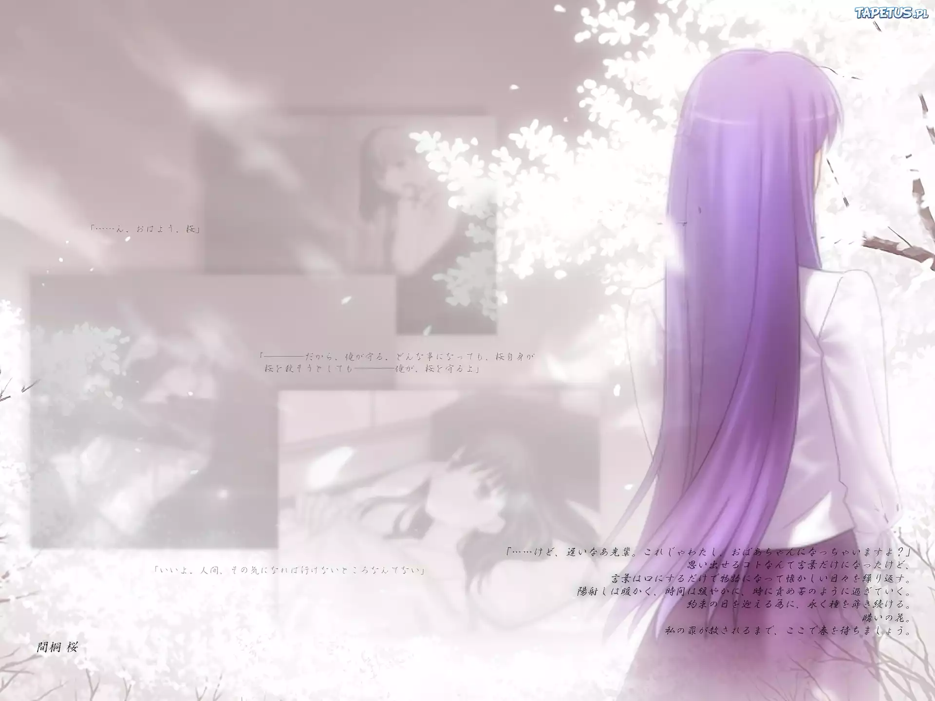 Fate Stay Night, dziewczyna, włosy, napisy