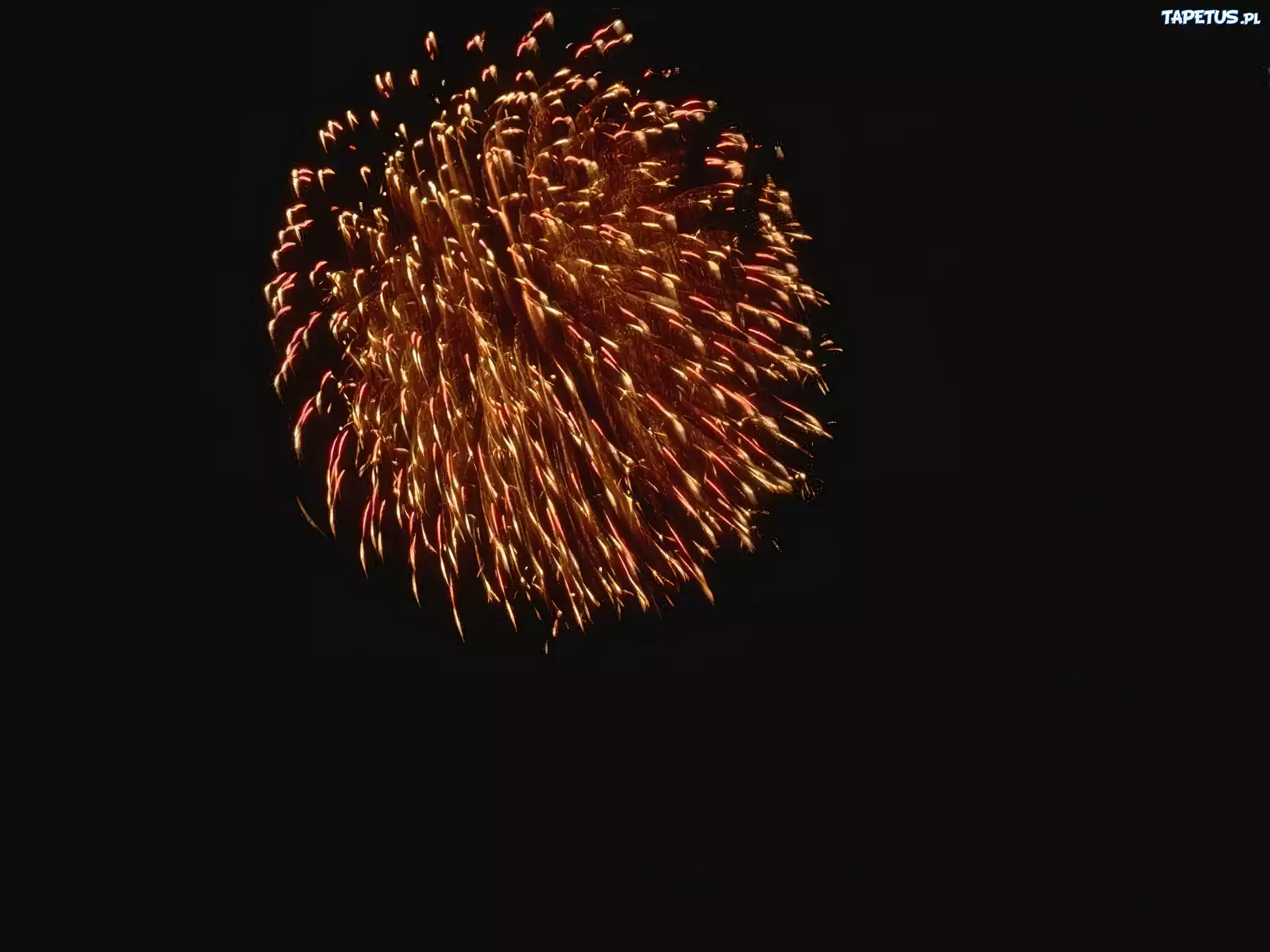 3D, Wektorowa,fajerwerki