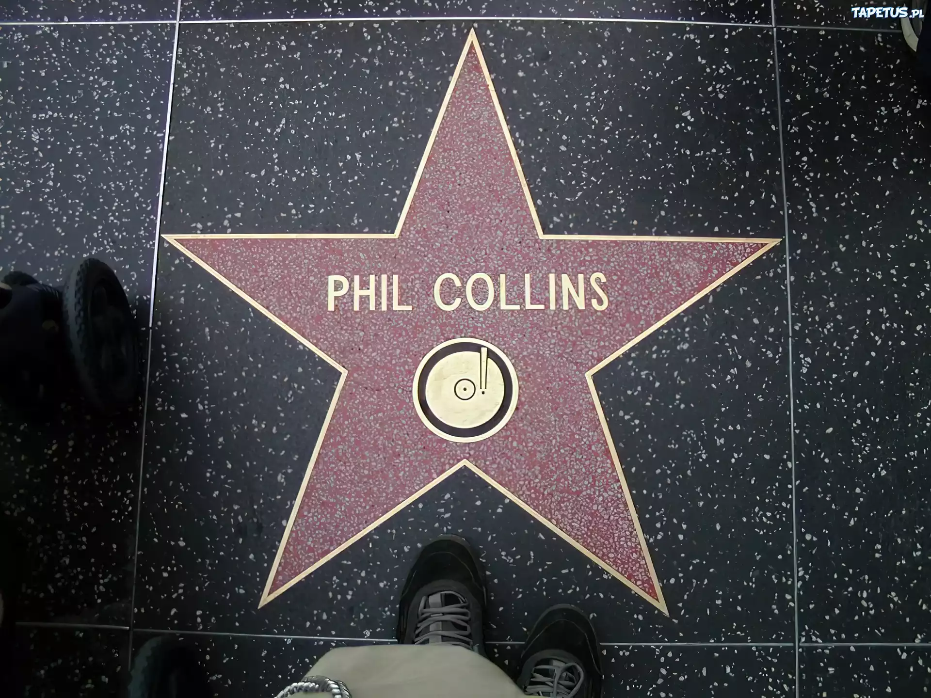 Phil Collins, Gwiazda