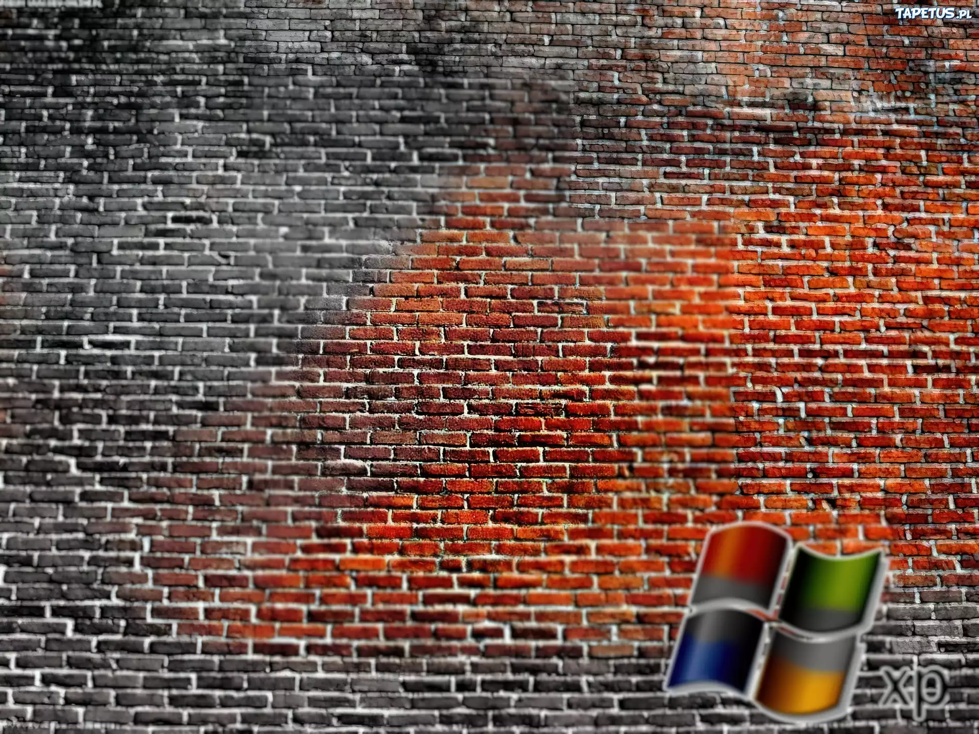 Windows XP, Cegiełki