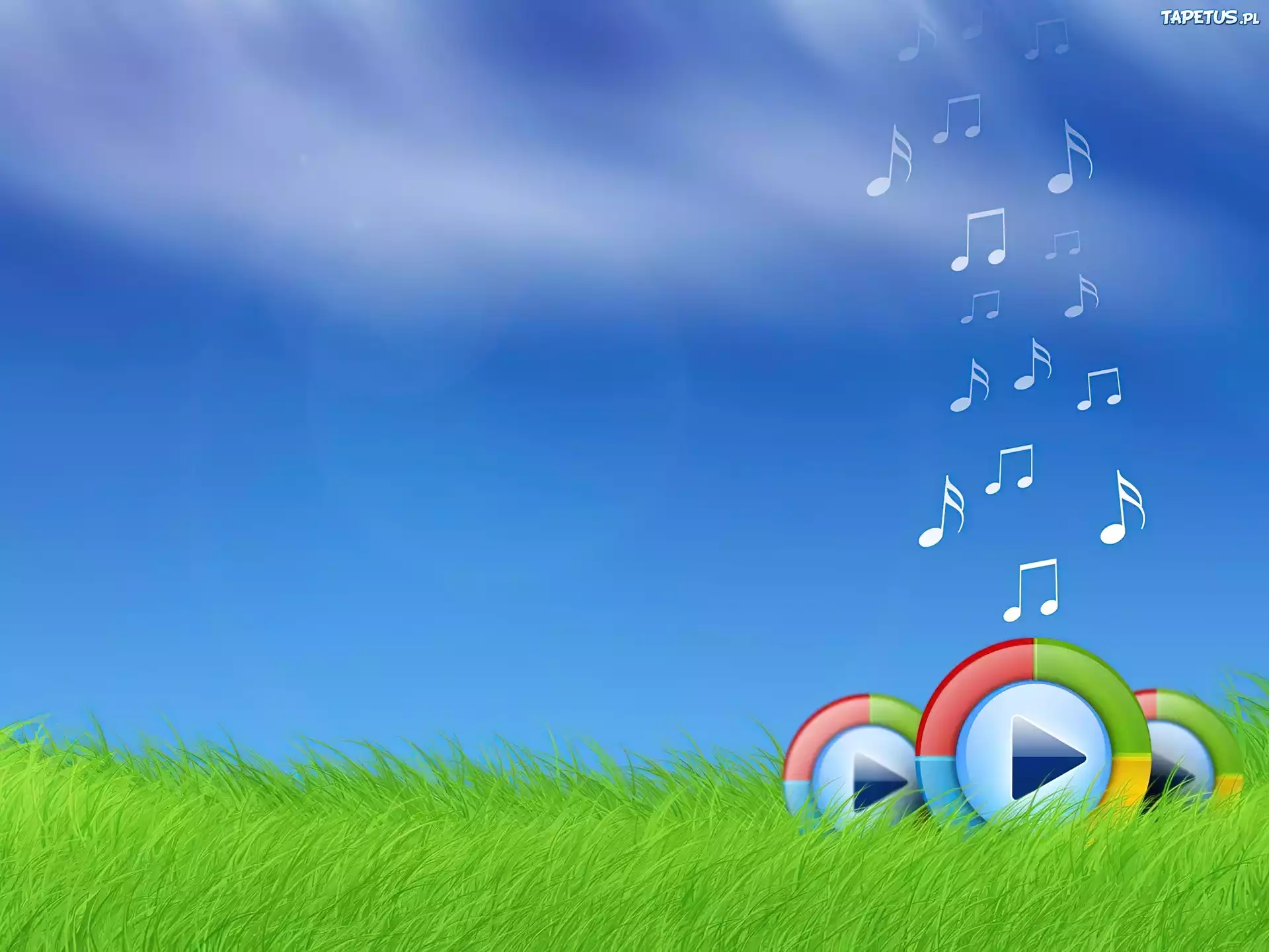 Windows Media Player, Trawa, Niebo