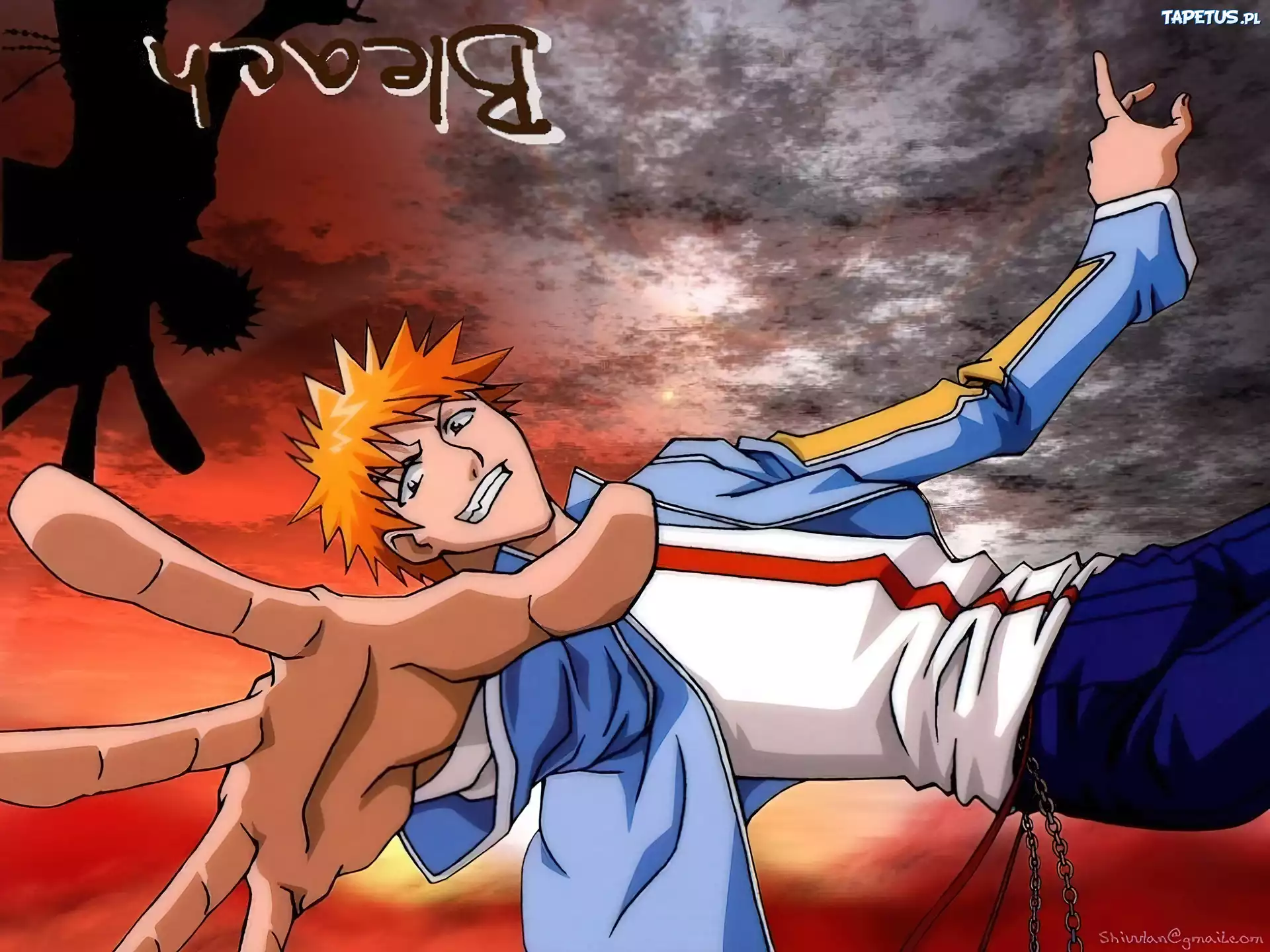 Bleach, postać, napisy