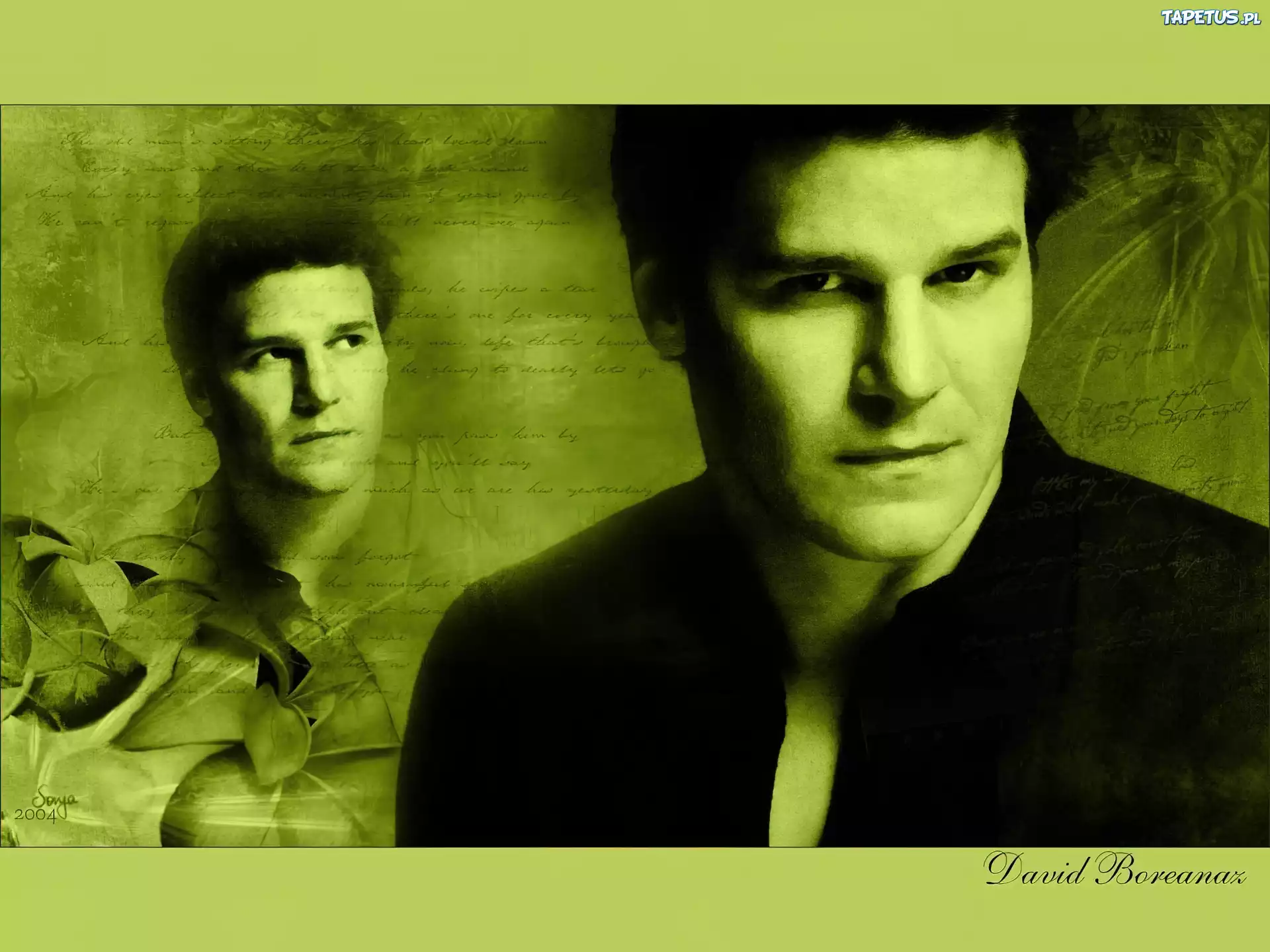 David Boreanaz,czarne włosy, ciemny strój