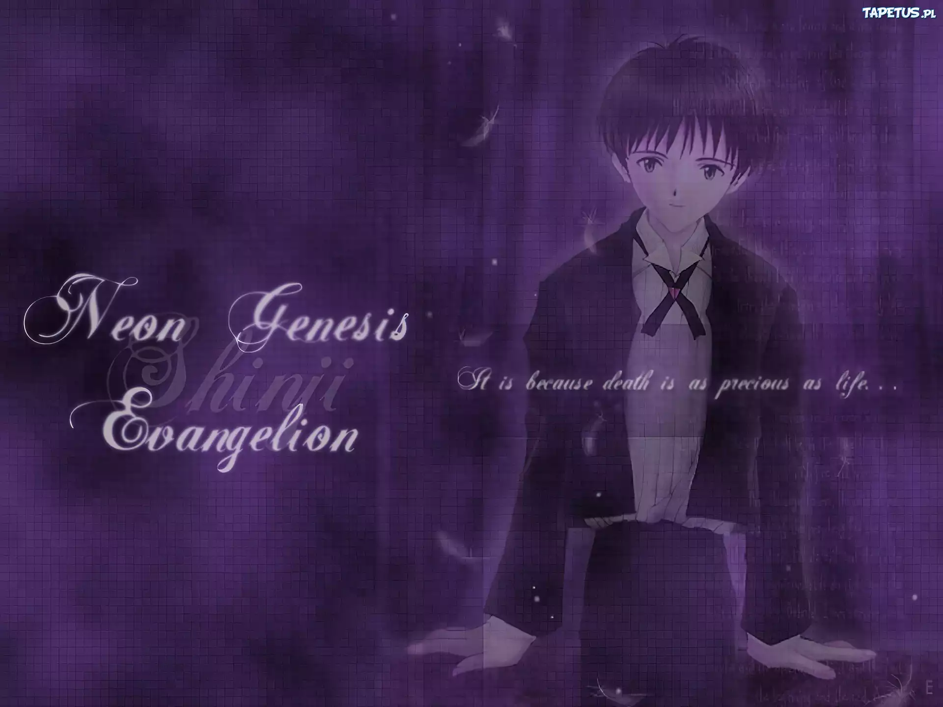 Neon Genesis Evangelion, postać, napisy