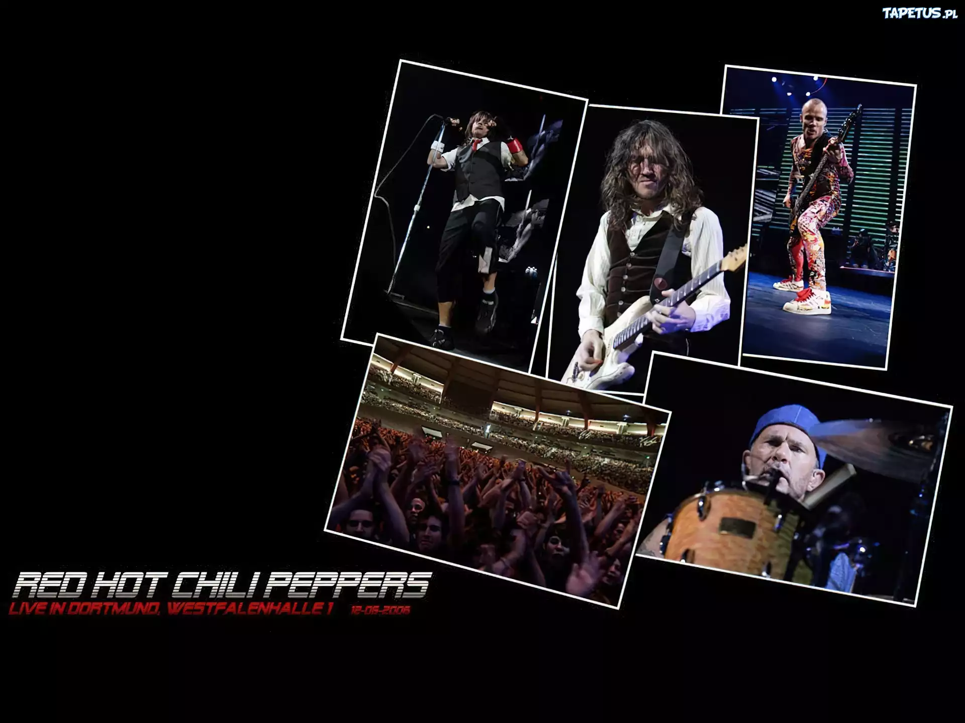 Red Hot Chili Peppers,zespół , koncer, gitary