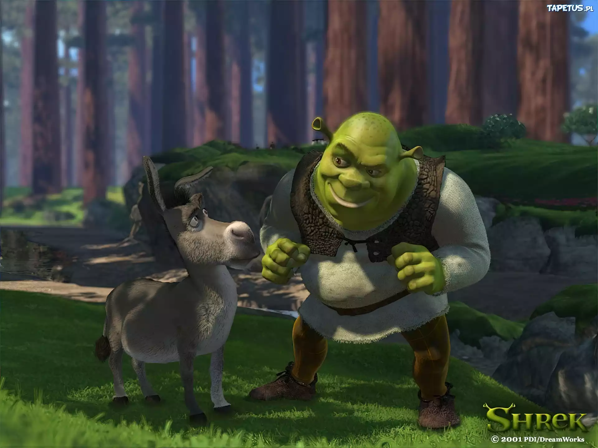 Shrek 1, las, Shrek, osioł