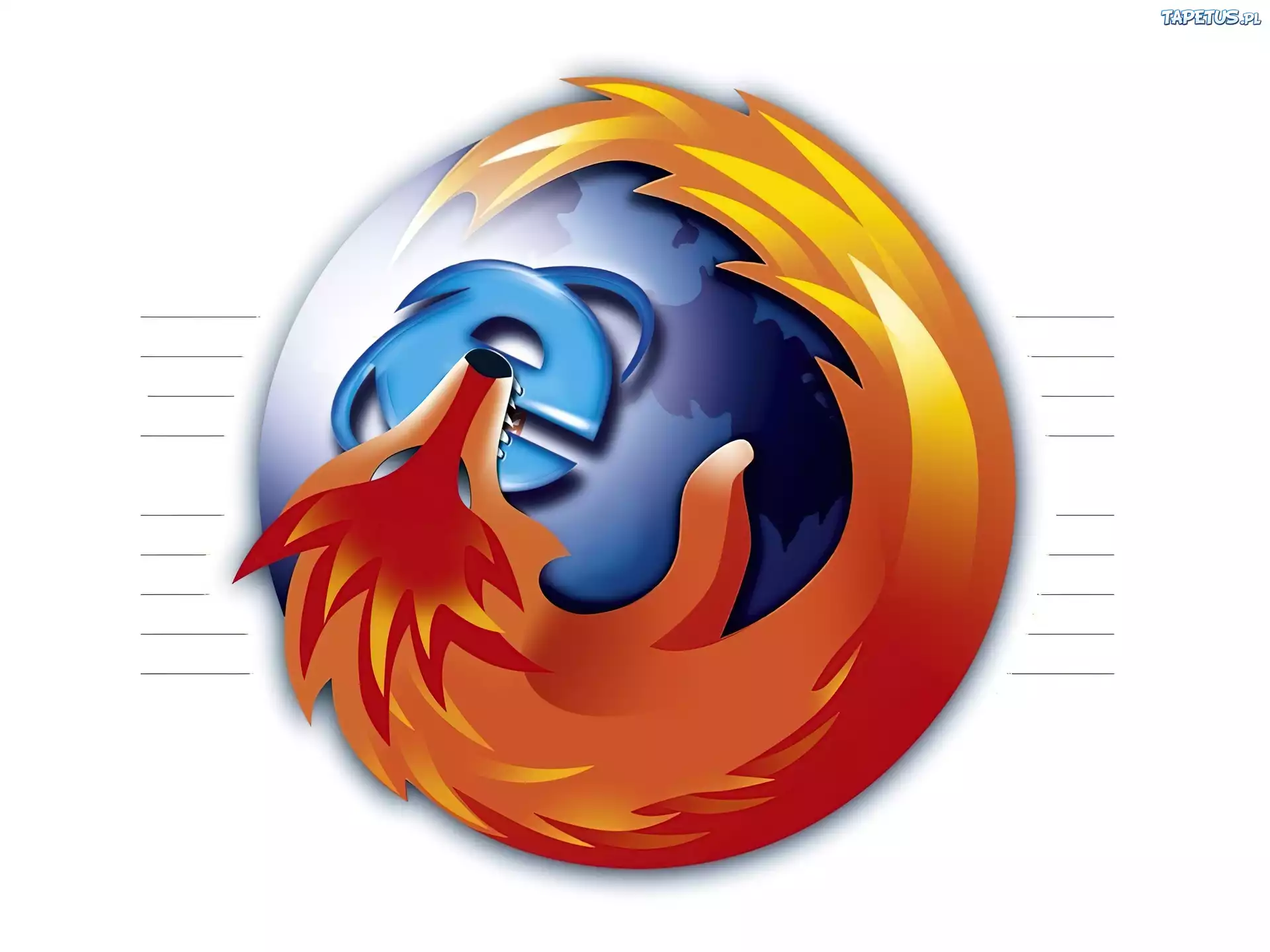 lis, ziemia, grafika, przeglądarka, FireFox