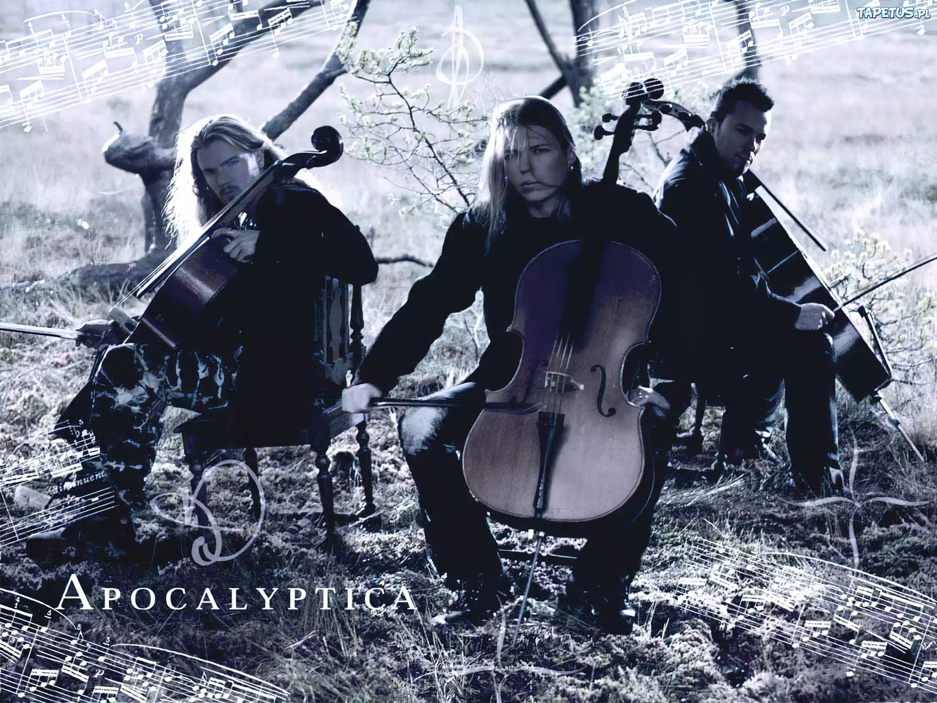 Apocalyptica,nuty, wiolonczela