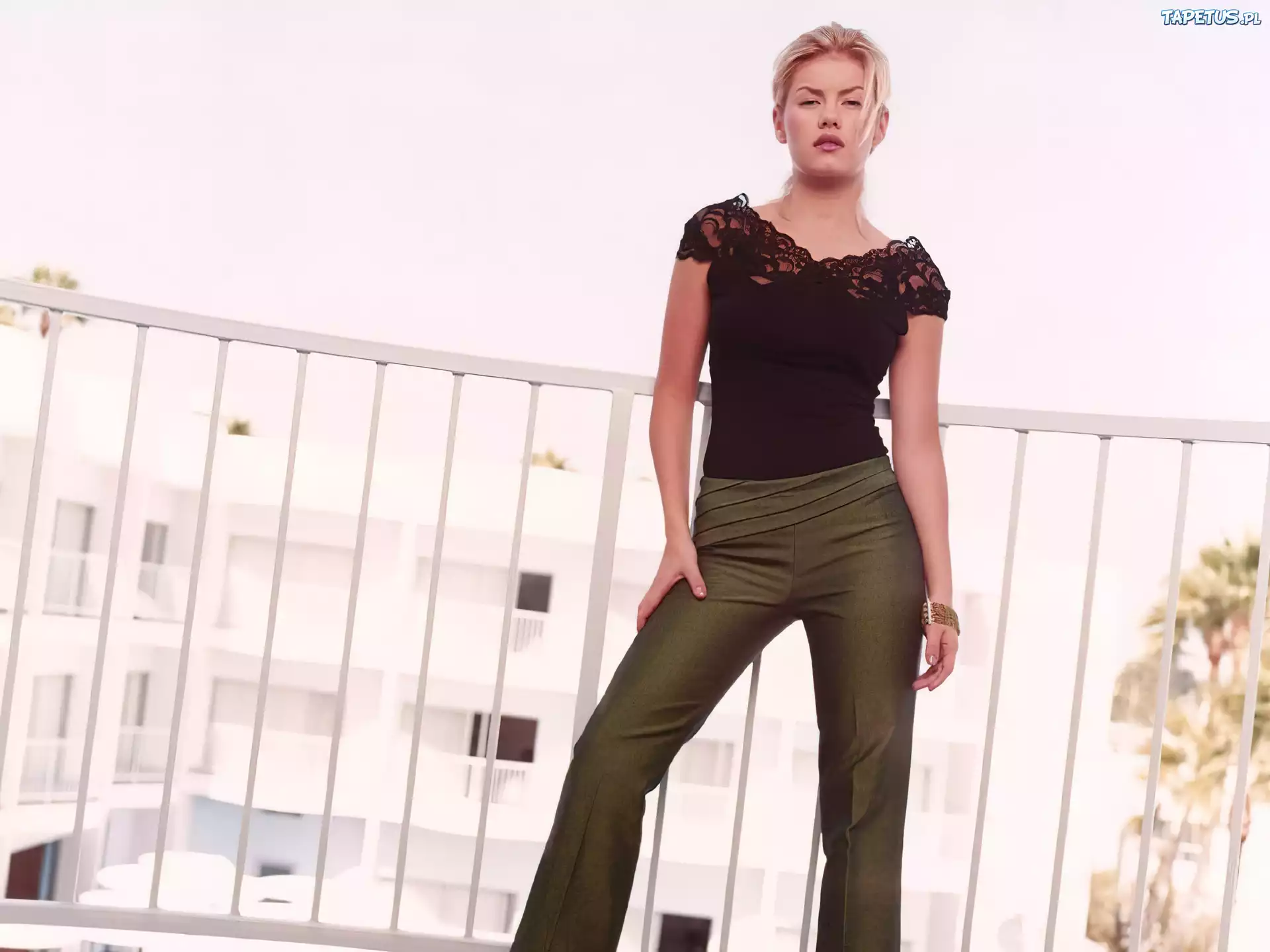 Elisha Cuthbert